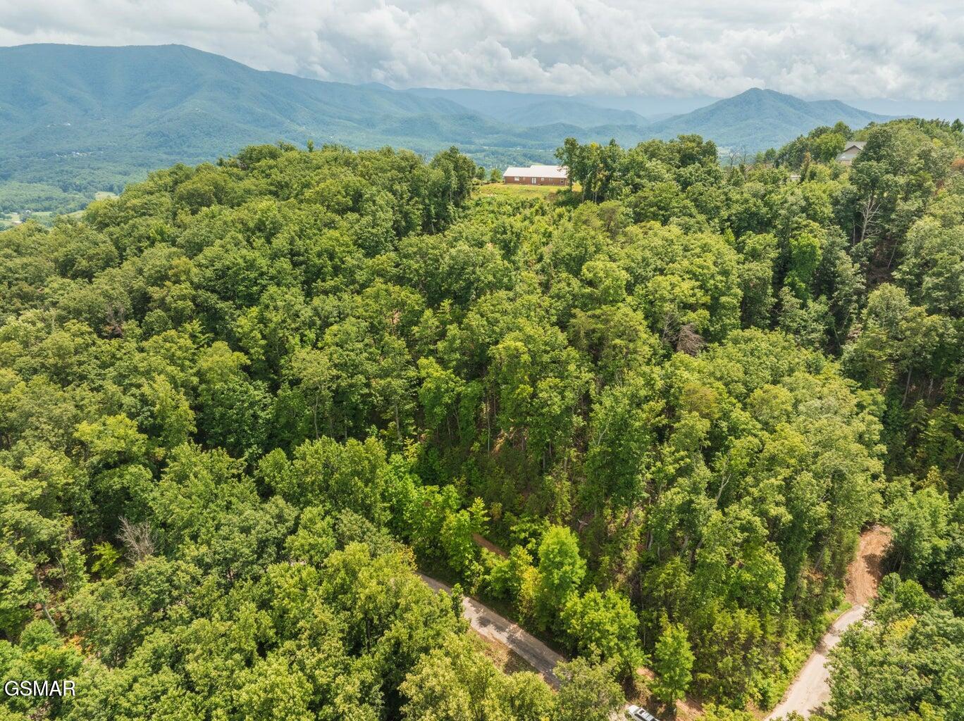 2119 Spurling Road Sevierville TN 37862