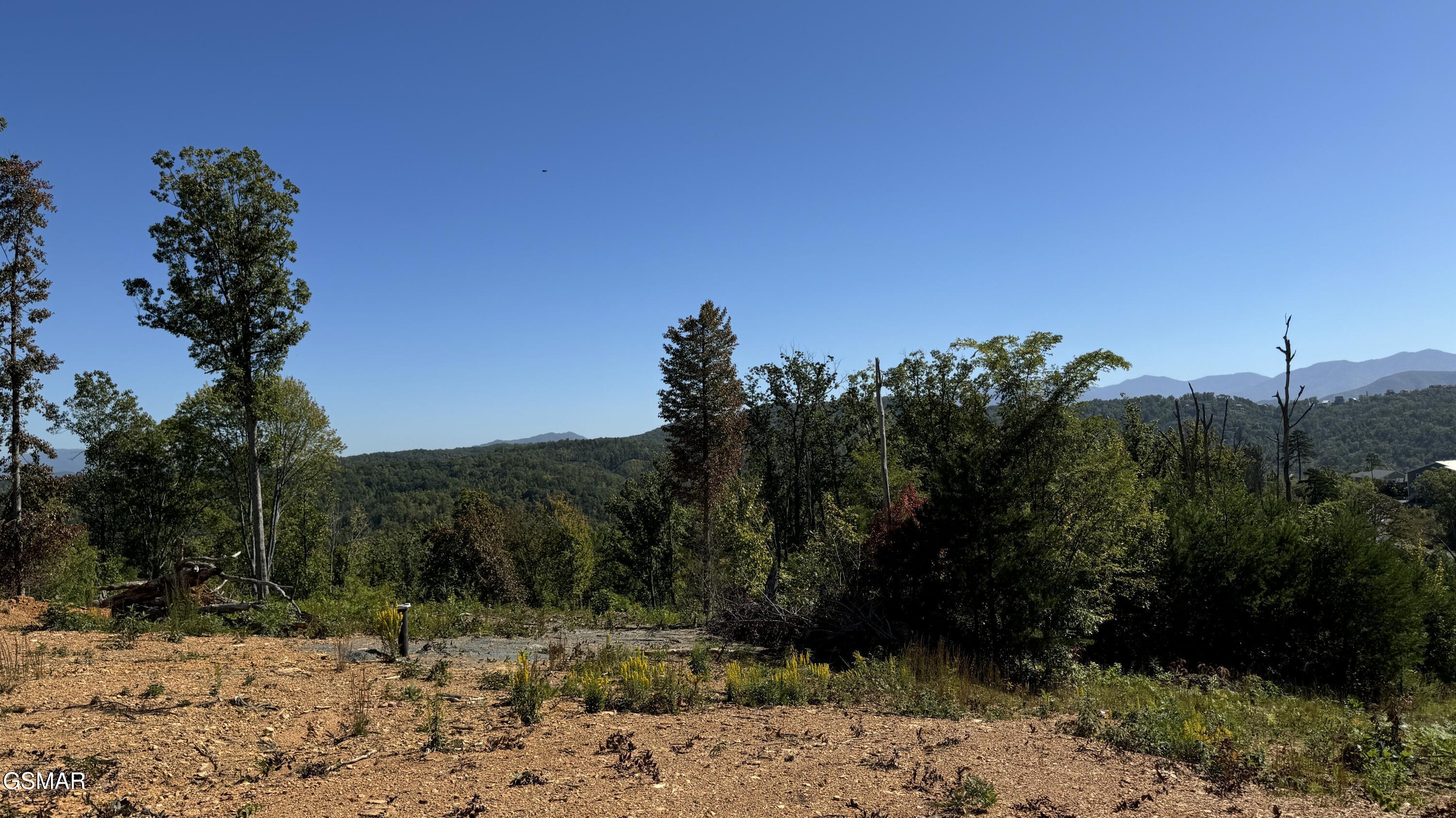 Lot 3 Cove Mountain Road Gatlinburg TN 37738