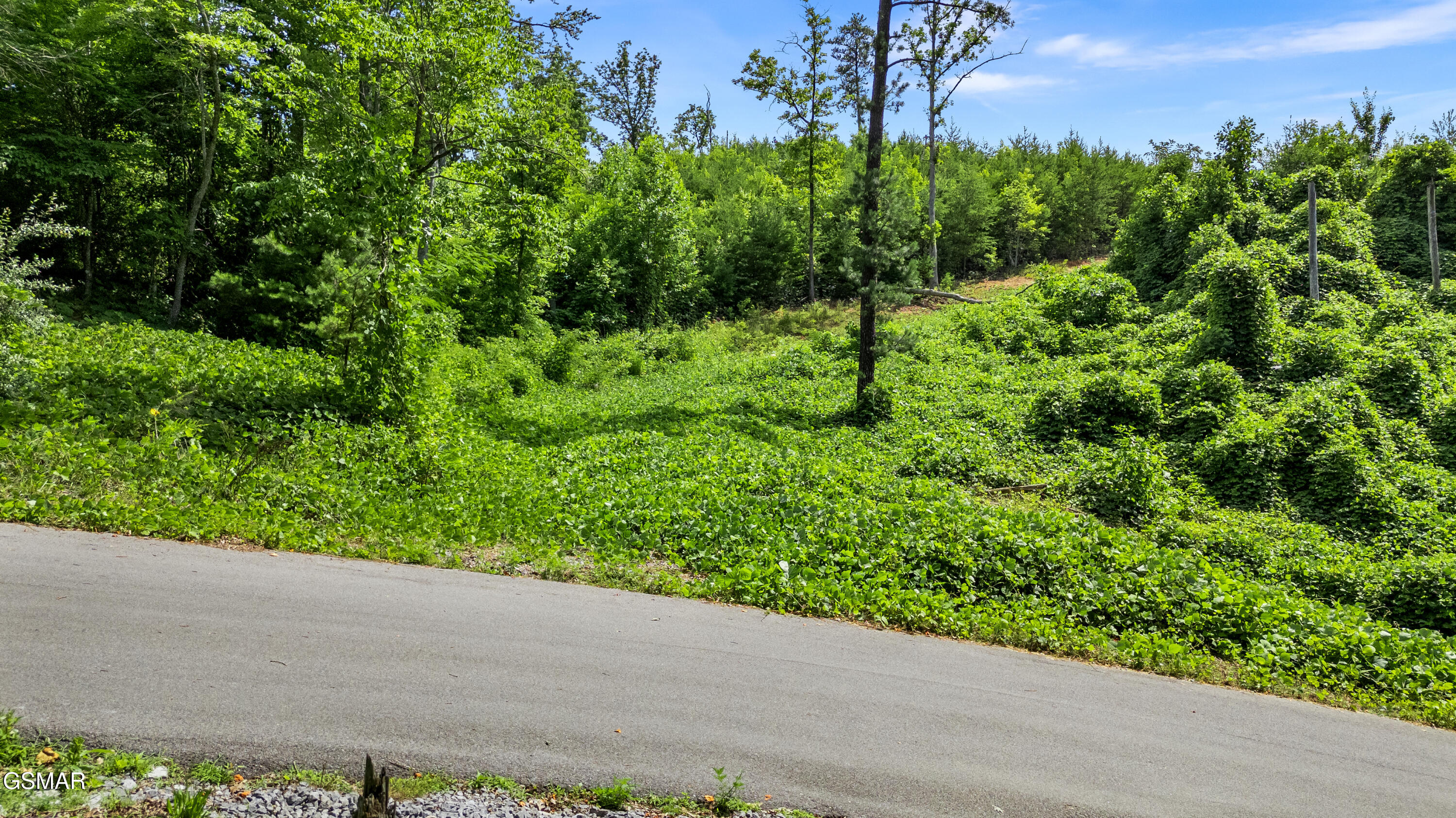 Lot 3 Cove Mountain Road Gatlinburg TN 37738
