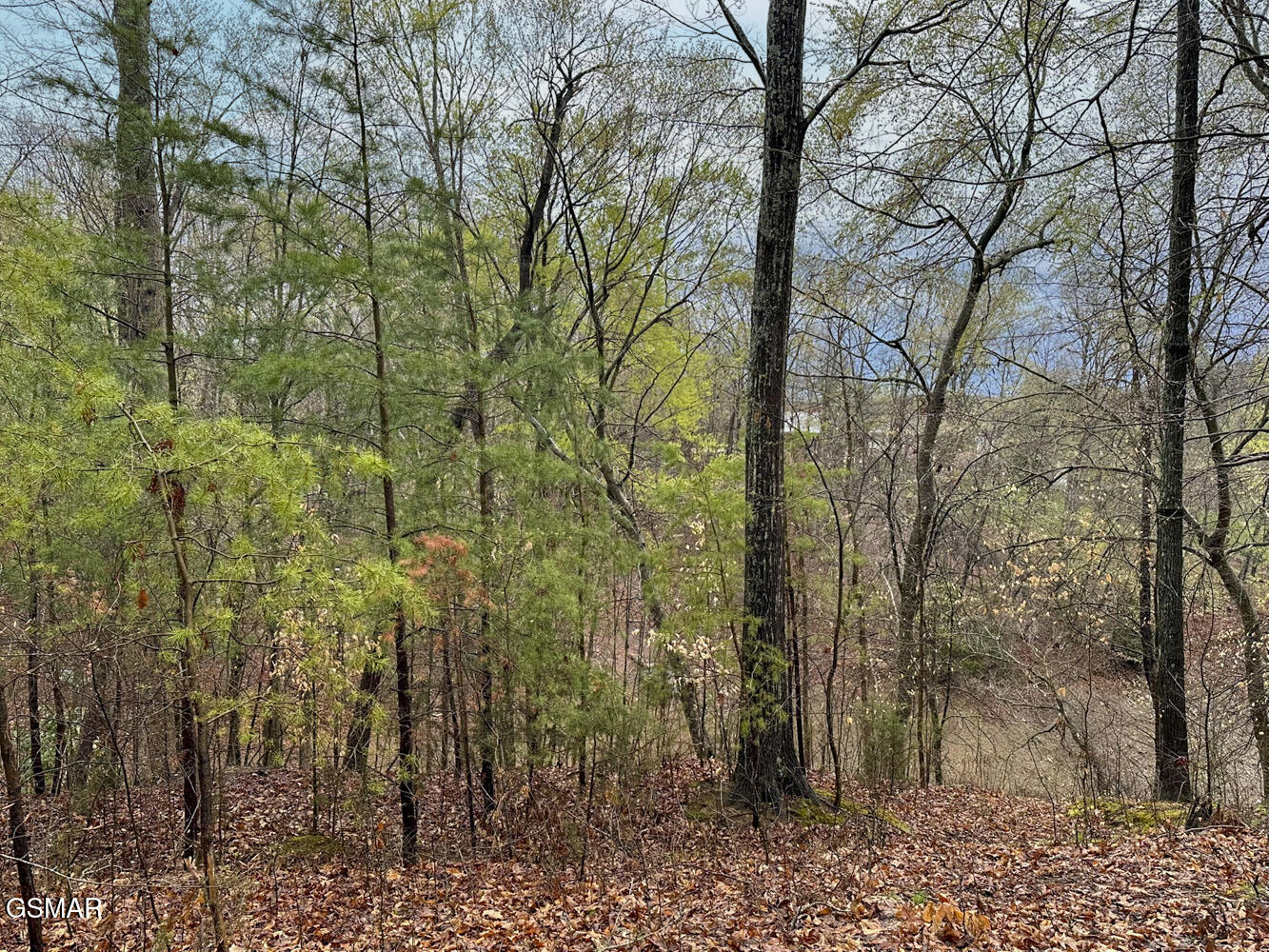 0 David Swann Drive Dandridge TN 37725