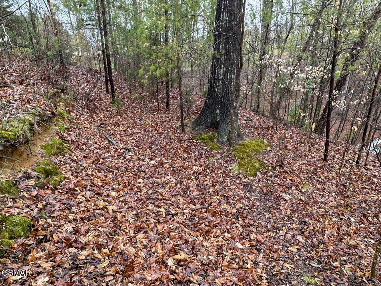 0 David Swann Drive Dandridge TN 37725
