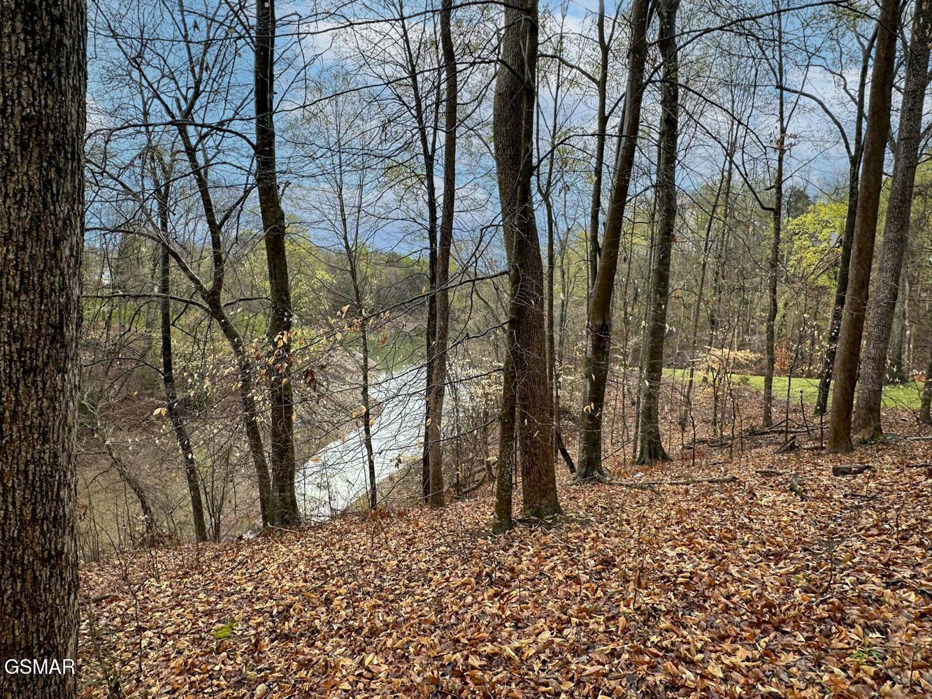 0 David Swann Drive Dandridge TN 37725