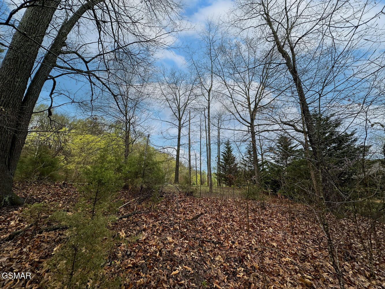 0 David Swann Drive Dandridge TN 37725