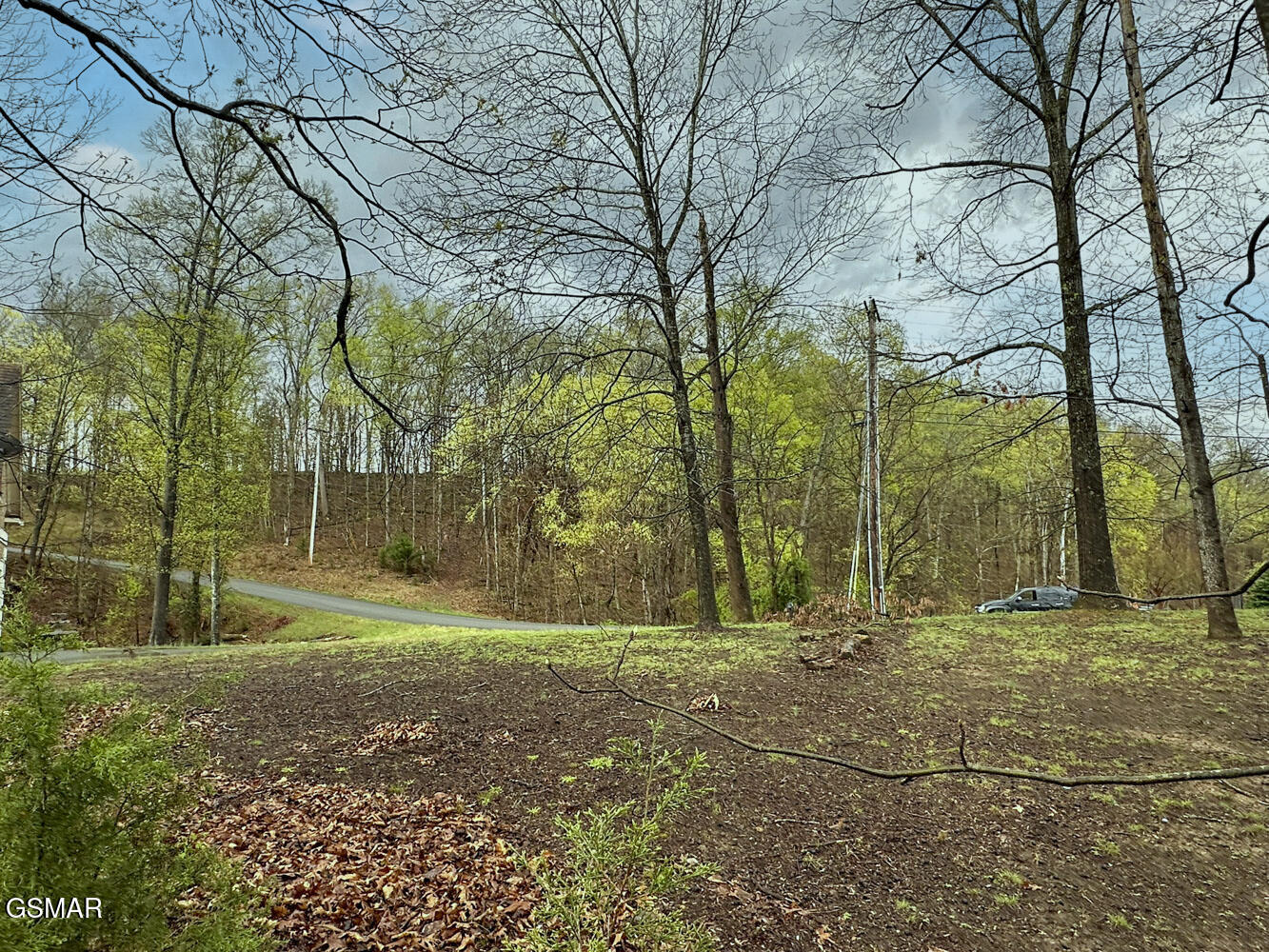 0 David Swann Drive Dandridge TN 37725
