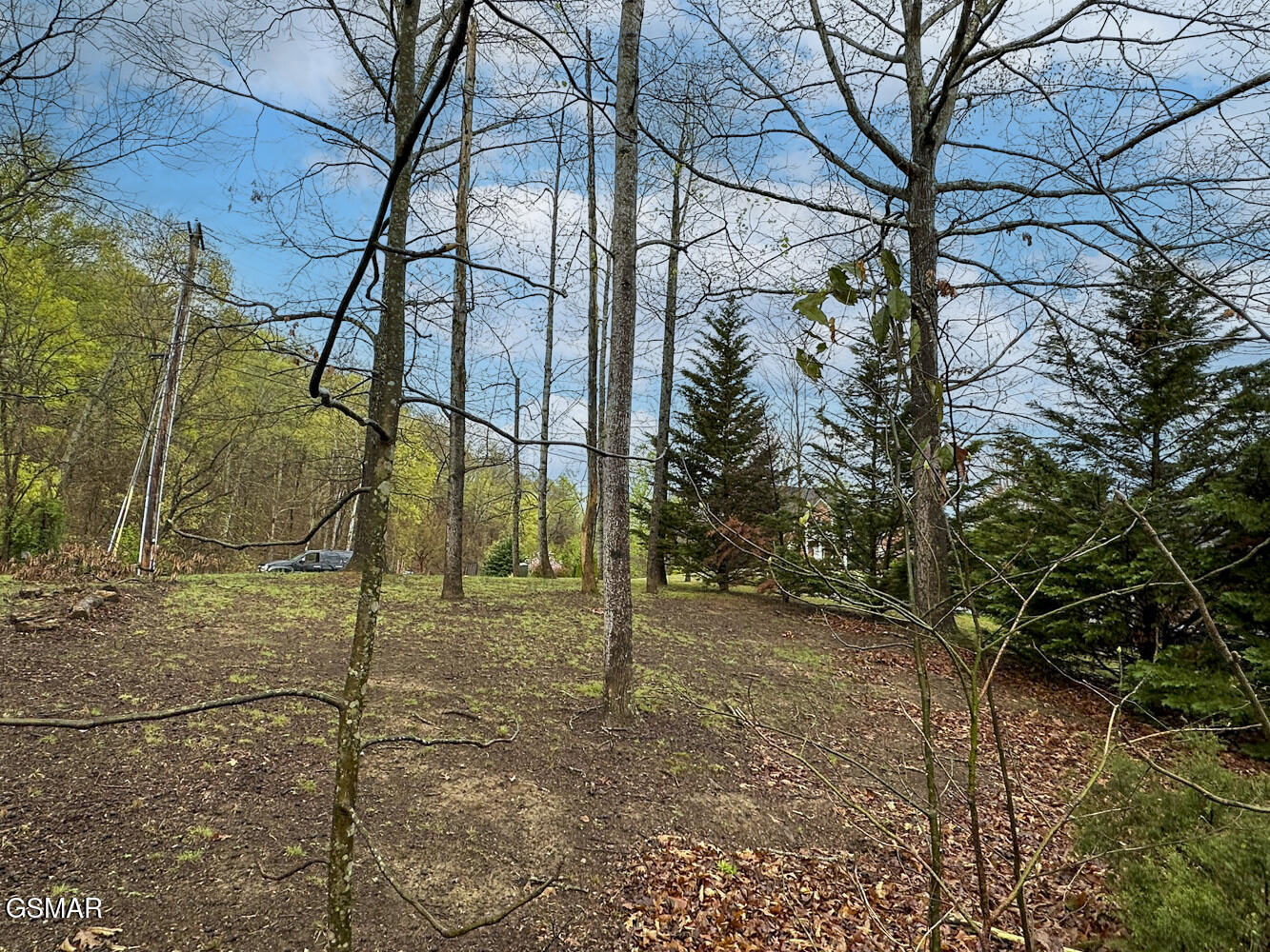 0 David Swann Drive Dandridge TN 37725