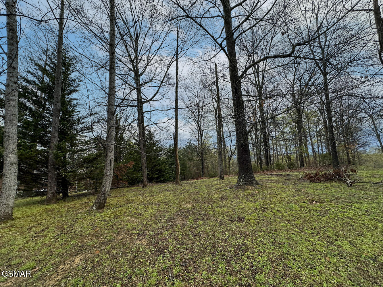 0 David Swann Drive Dandridge TN 37725