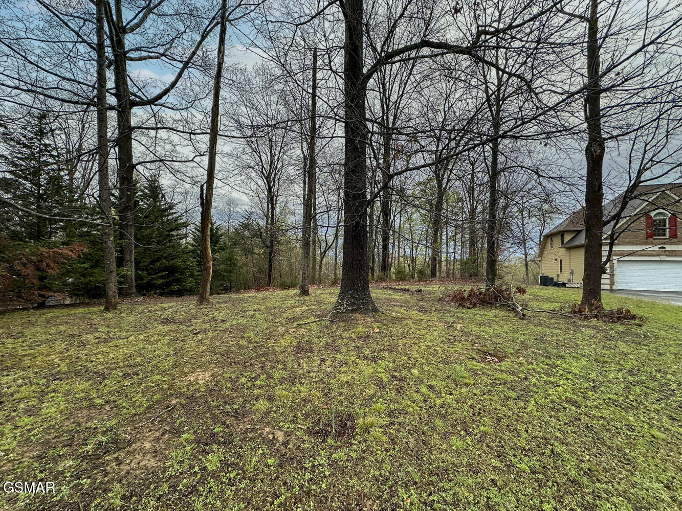0 David Swann Drive Dandridge TN 37725