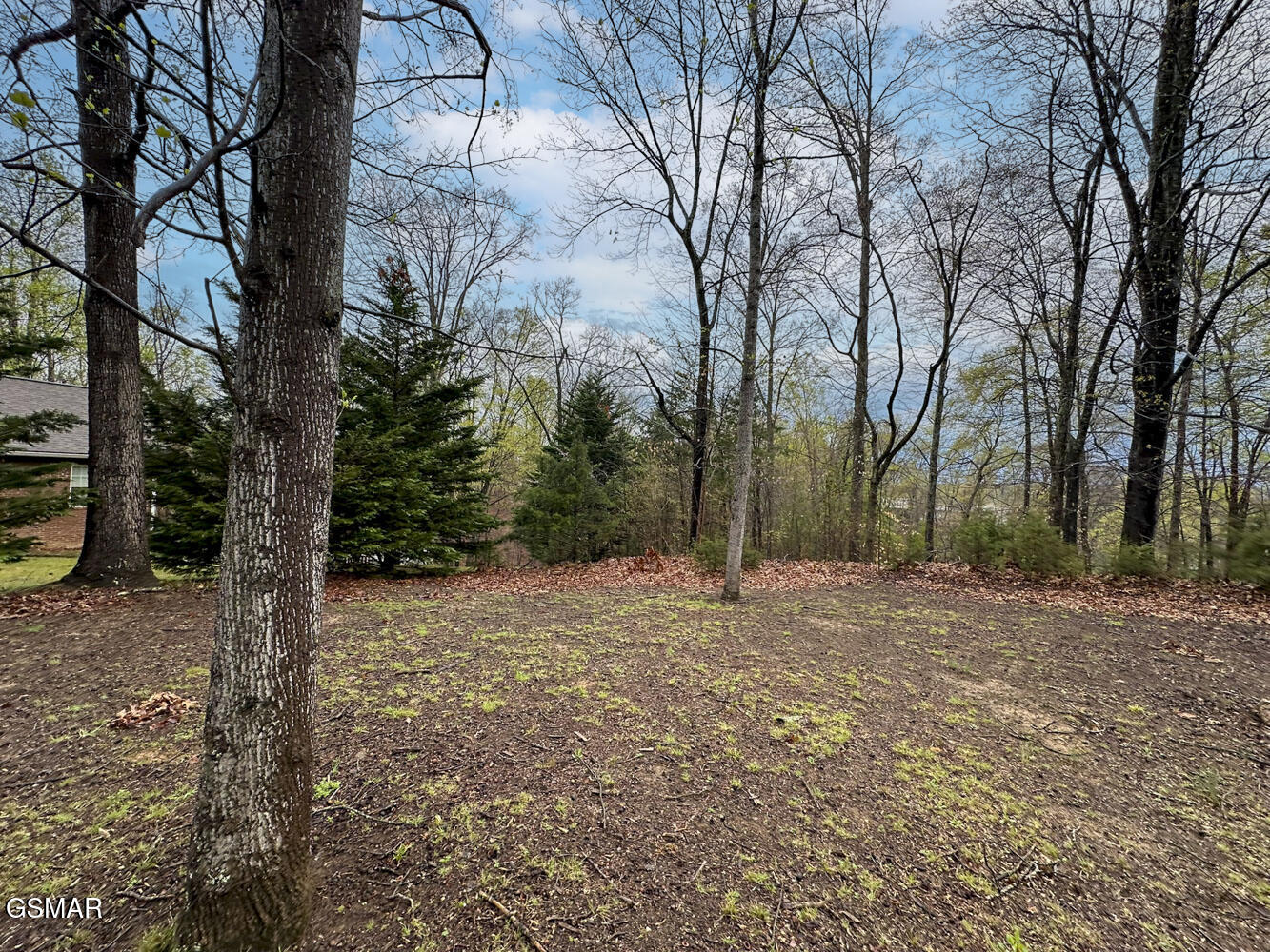 0 David Swann Drive Dandridge TN 37725