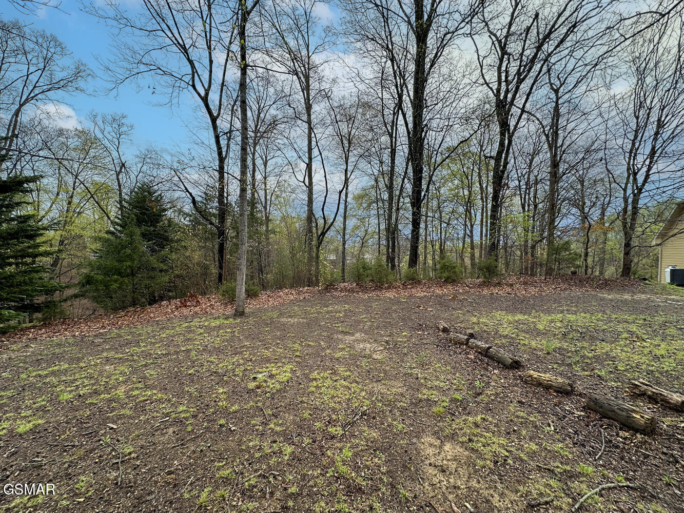 0 David Swann Drive Dandridge TN 37725