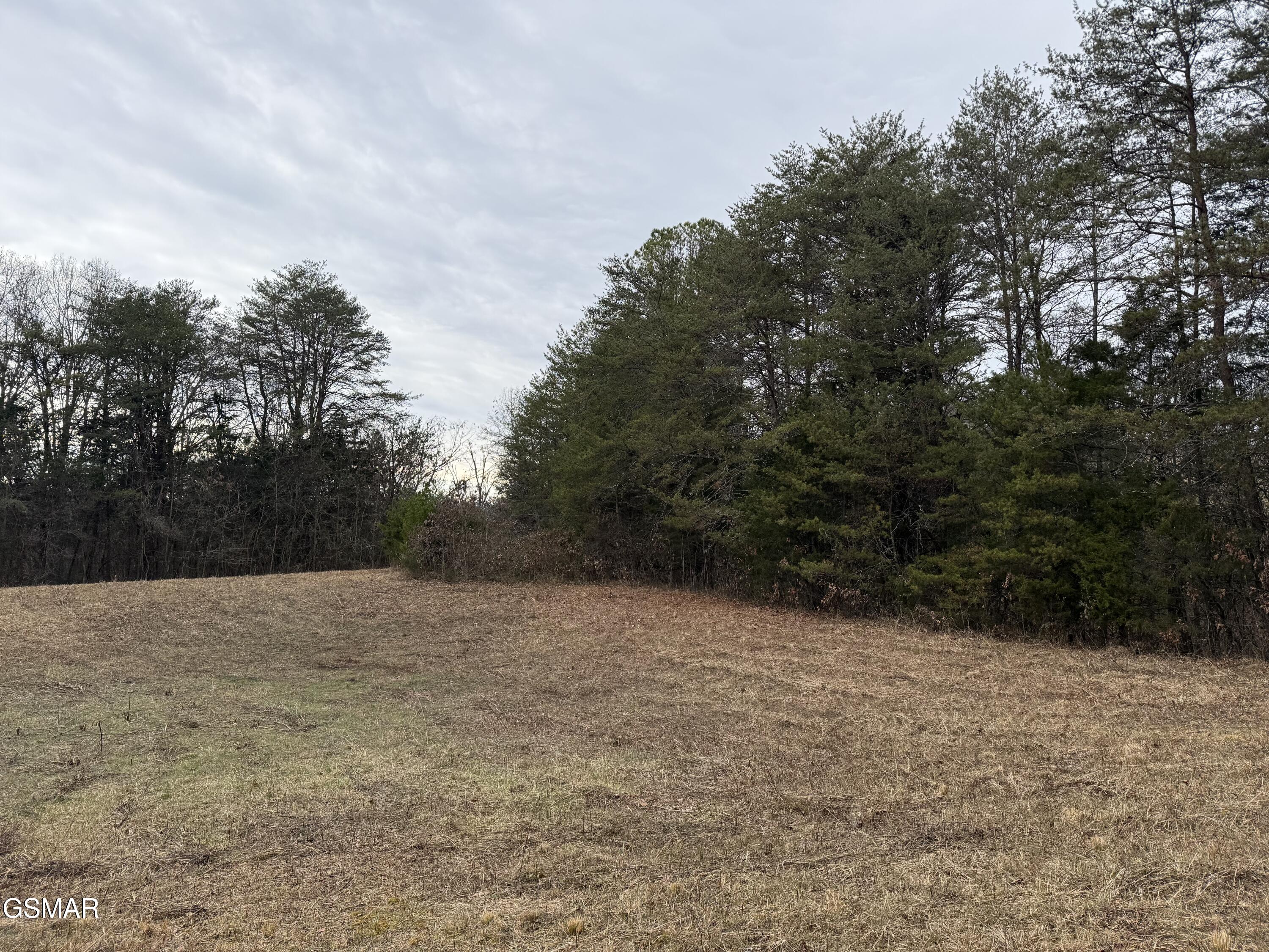0 Off Allen Chapel Road Parrottsville TN 37843
