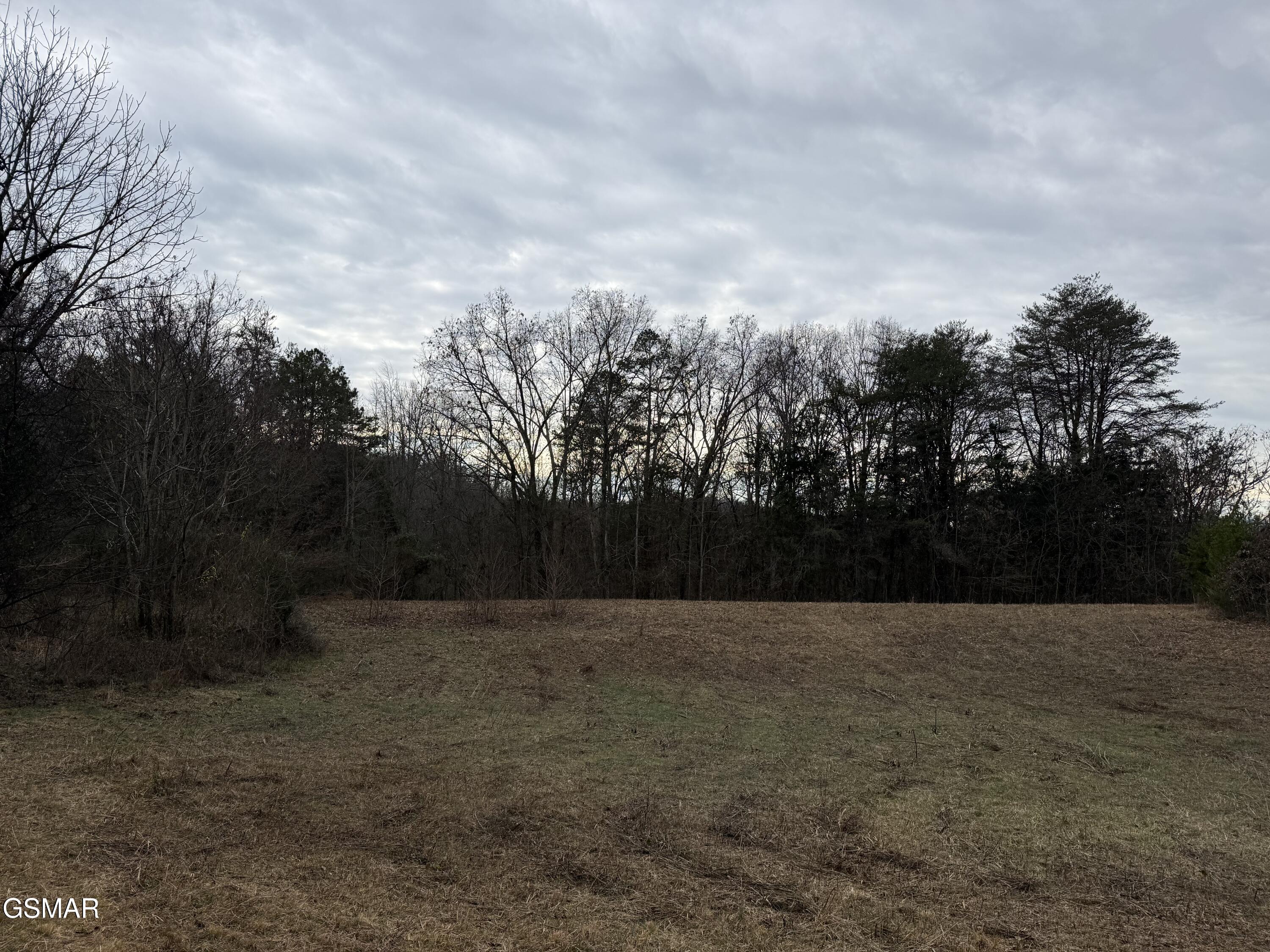0 Off Allen Chapel Road Parrottsville TN 37843