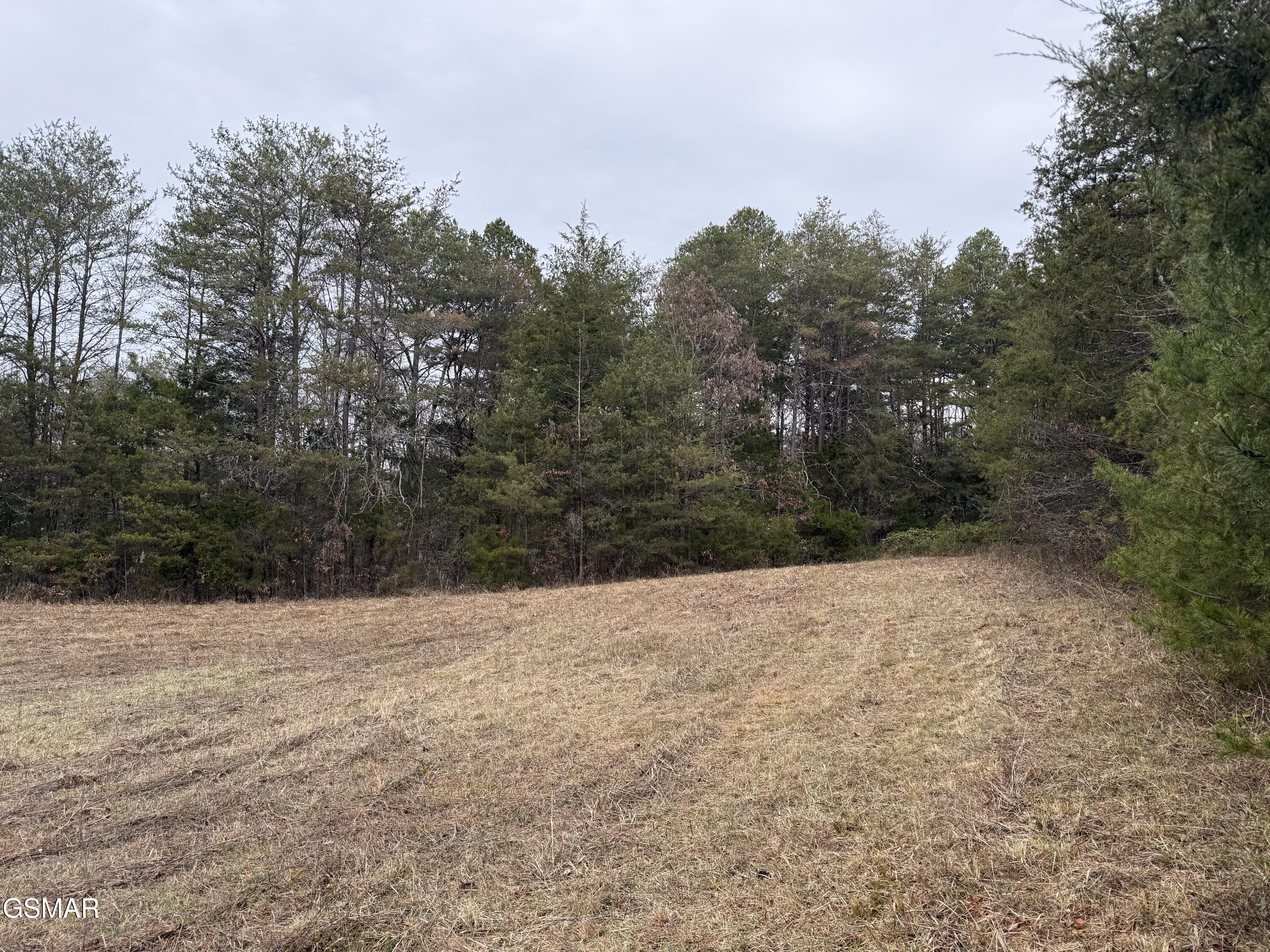 0 Off Allen Chapel Road Parrottsville TN 37843