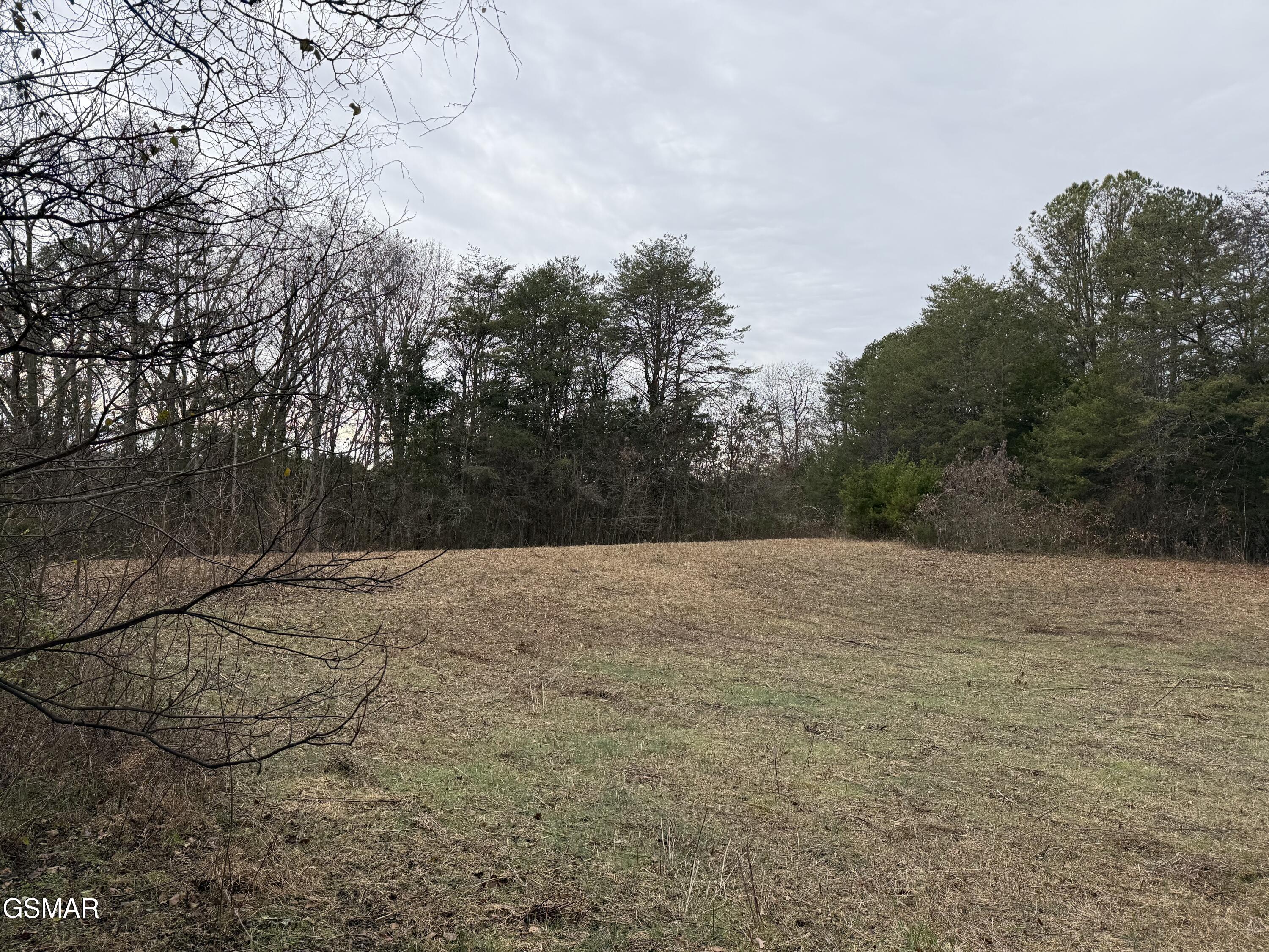 0 Off Allen Chapel Road Parrottsville TN 37843