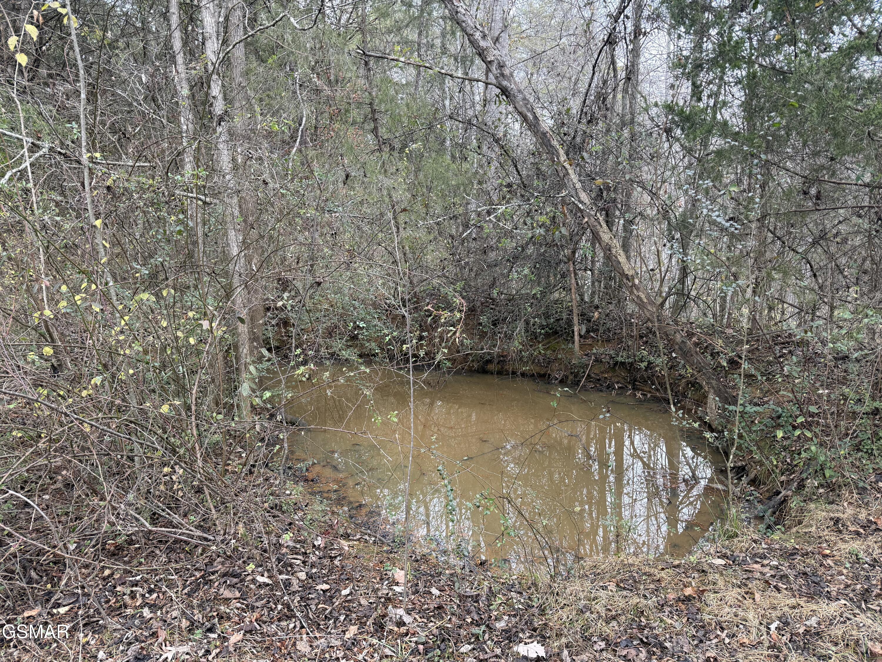 0 Off Allen Chapel Road Parrottsville TN 37843