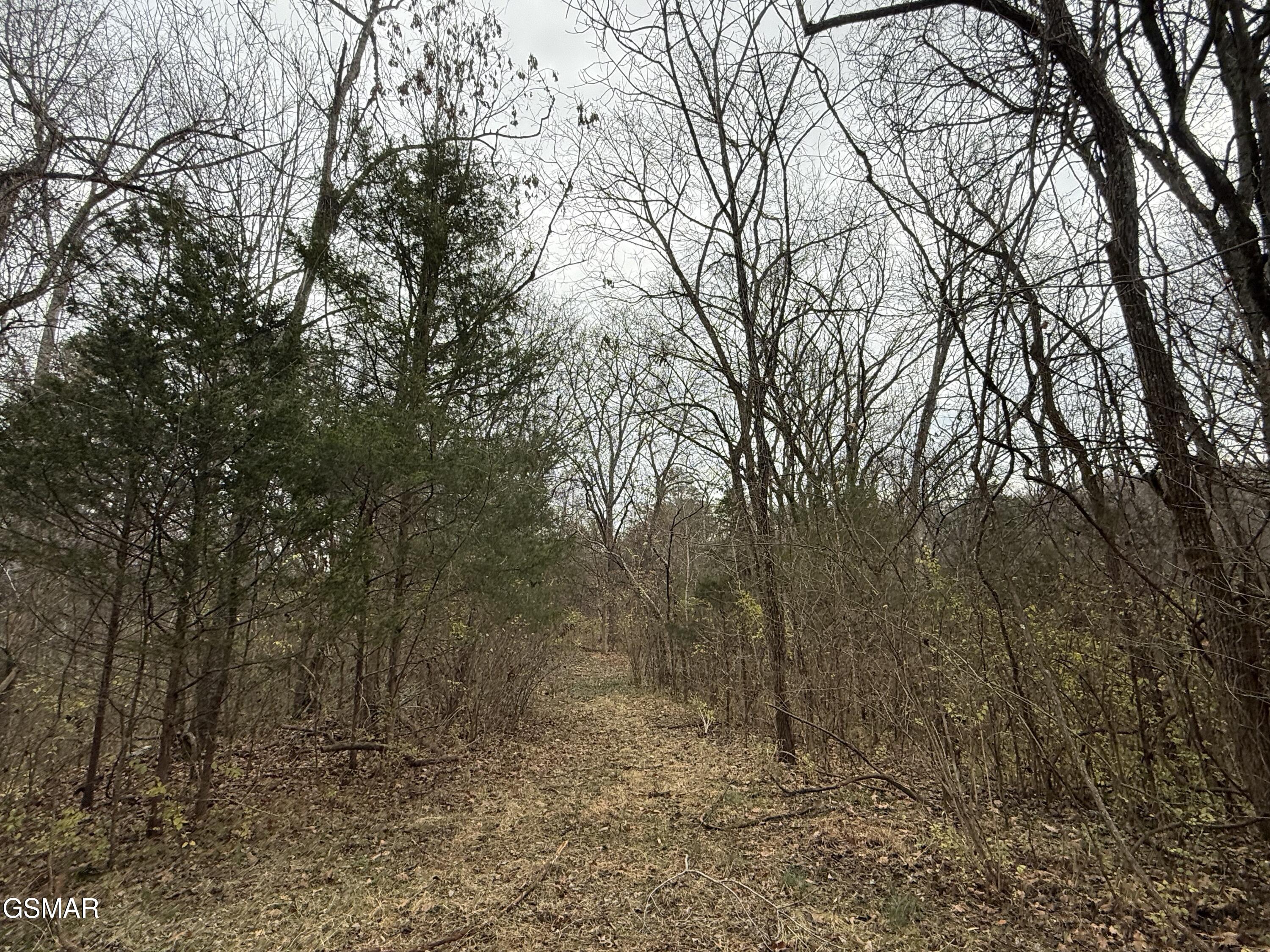 0 Off Allen Chapel Road Parrottsville TN 37843