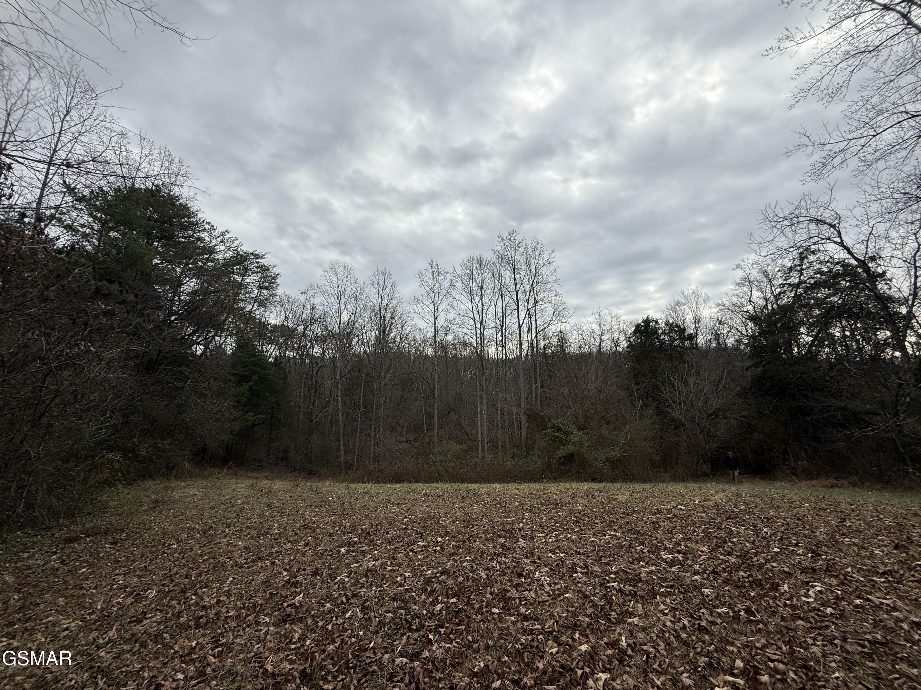 0 Off Allen Chapel Road Parrottsville TN 37843