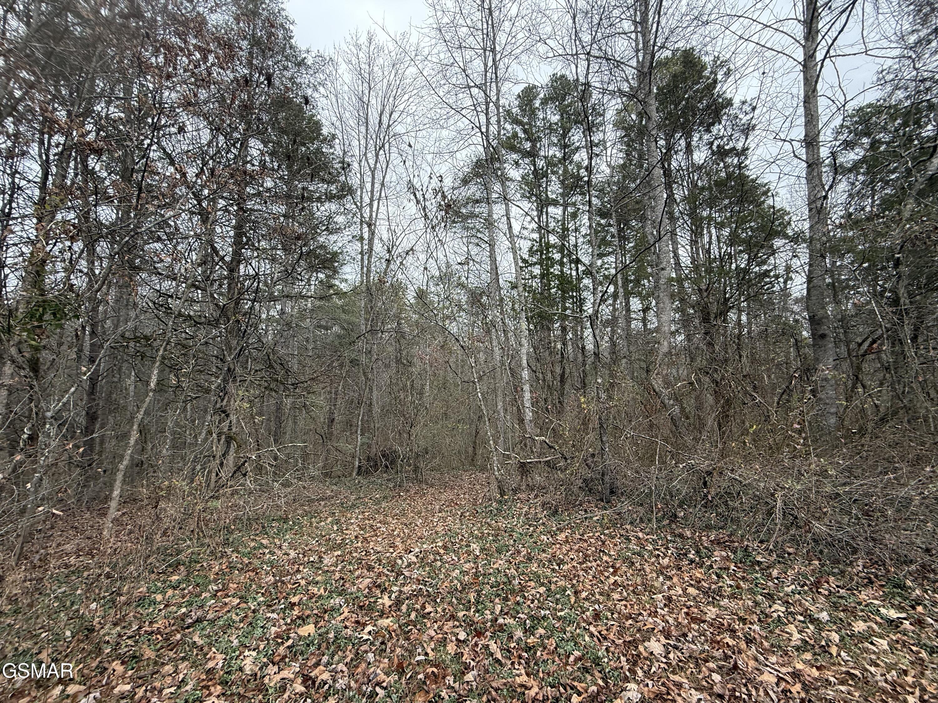 0 Off Allen Chapel Road Parrottsville TN 37843