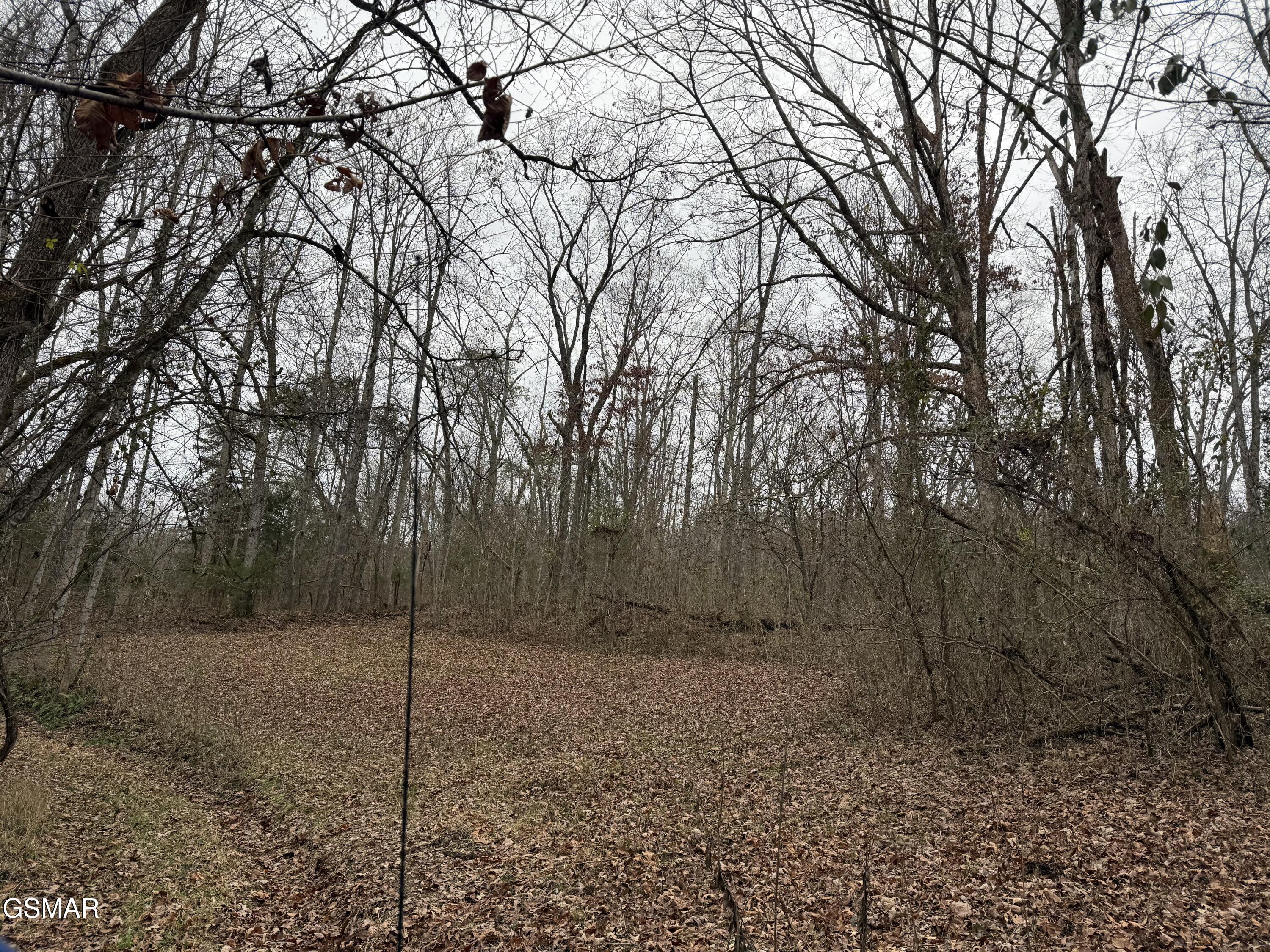 0 Off Allen Chapel Road Parrottsville TN 37843