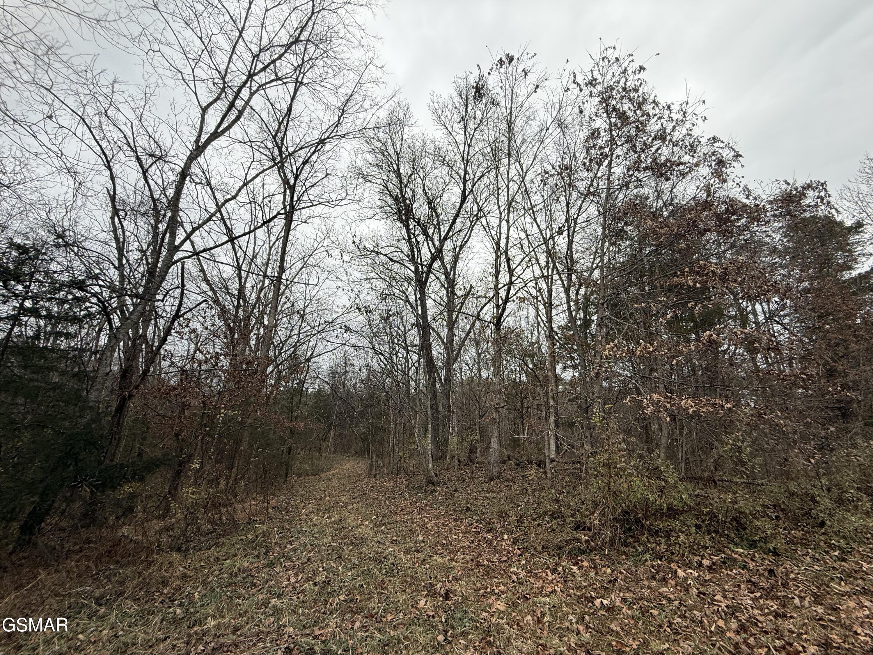 0 Off Allen Chapel Road Parrottsville TN 37843