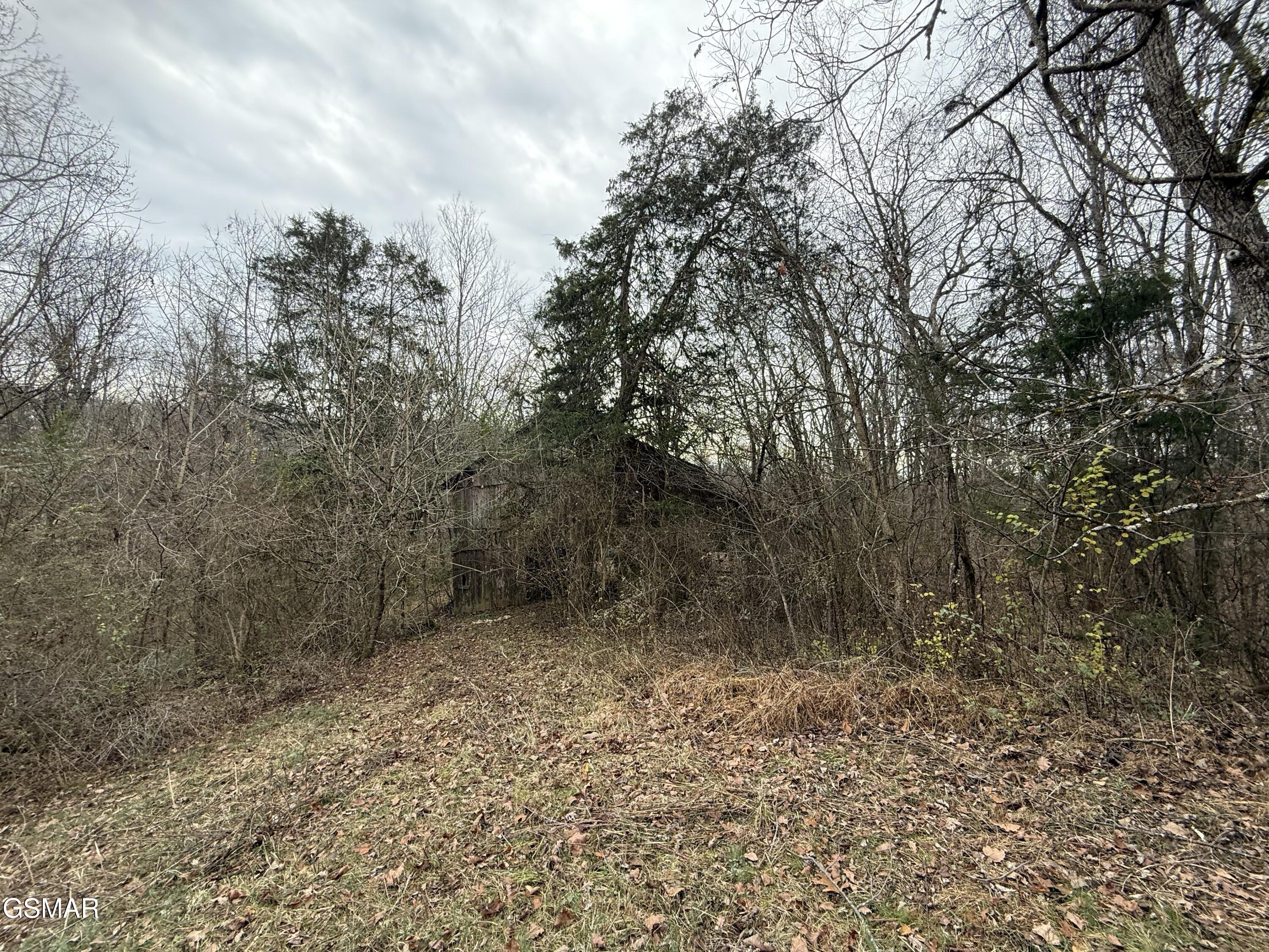 0 Off Allen Chapel Road Parrottsville TN 37843