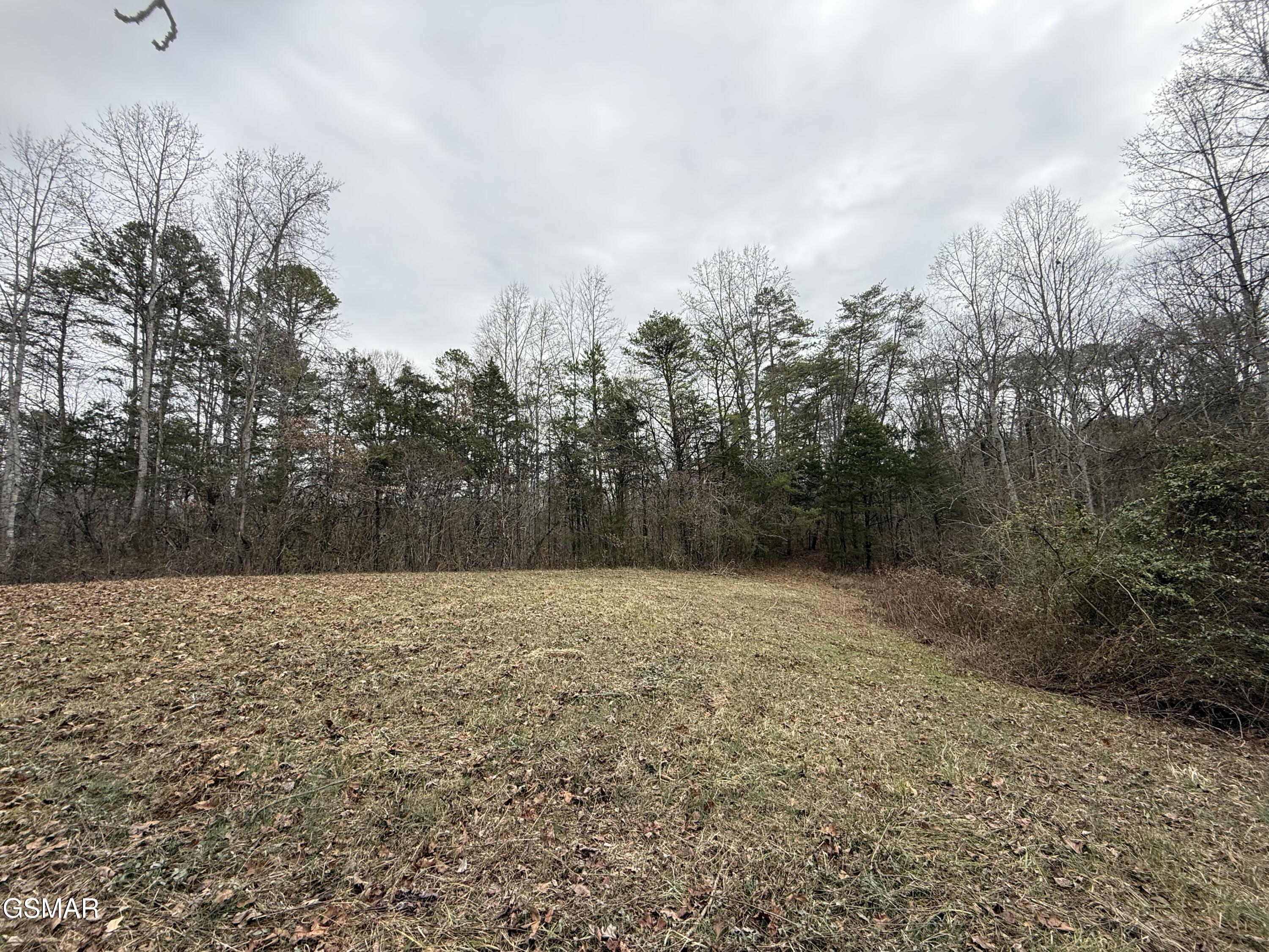 0 Off Allen Chapel Road Parrottsville TN 37843