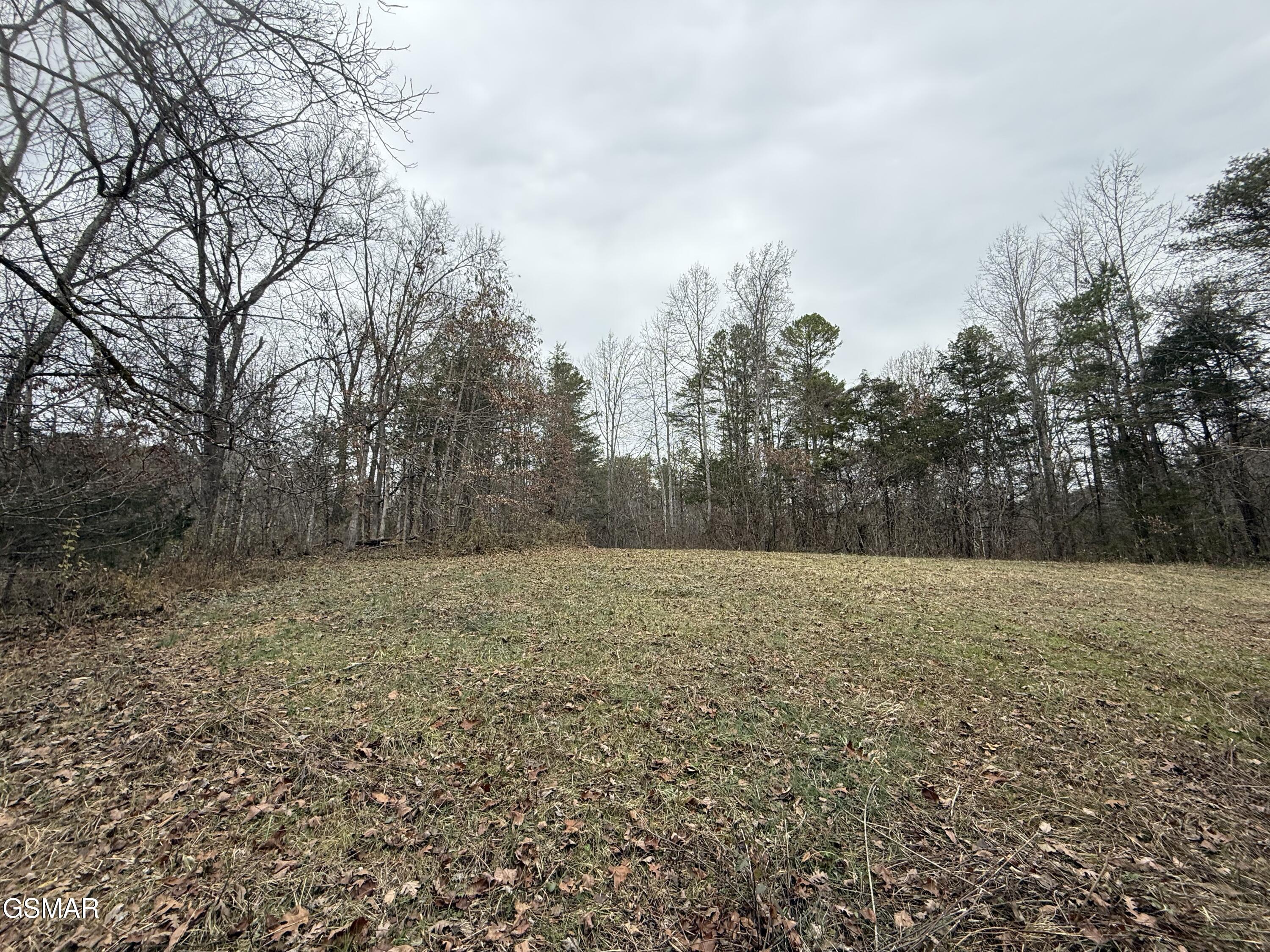 0 Off Allen Chapel Road Parrottsville TN 37843