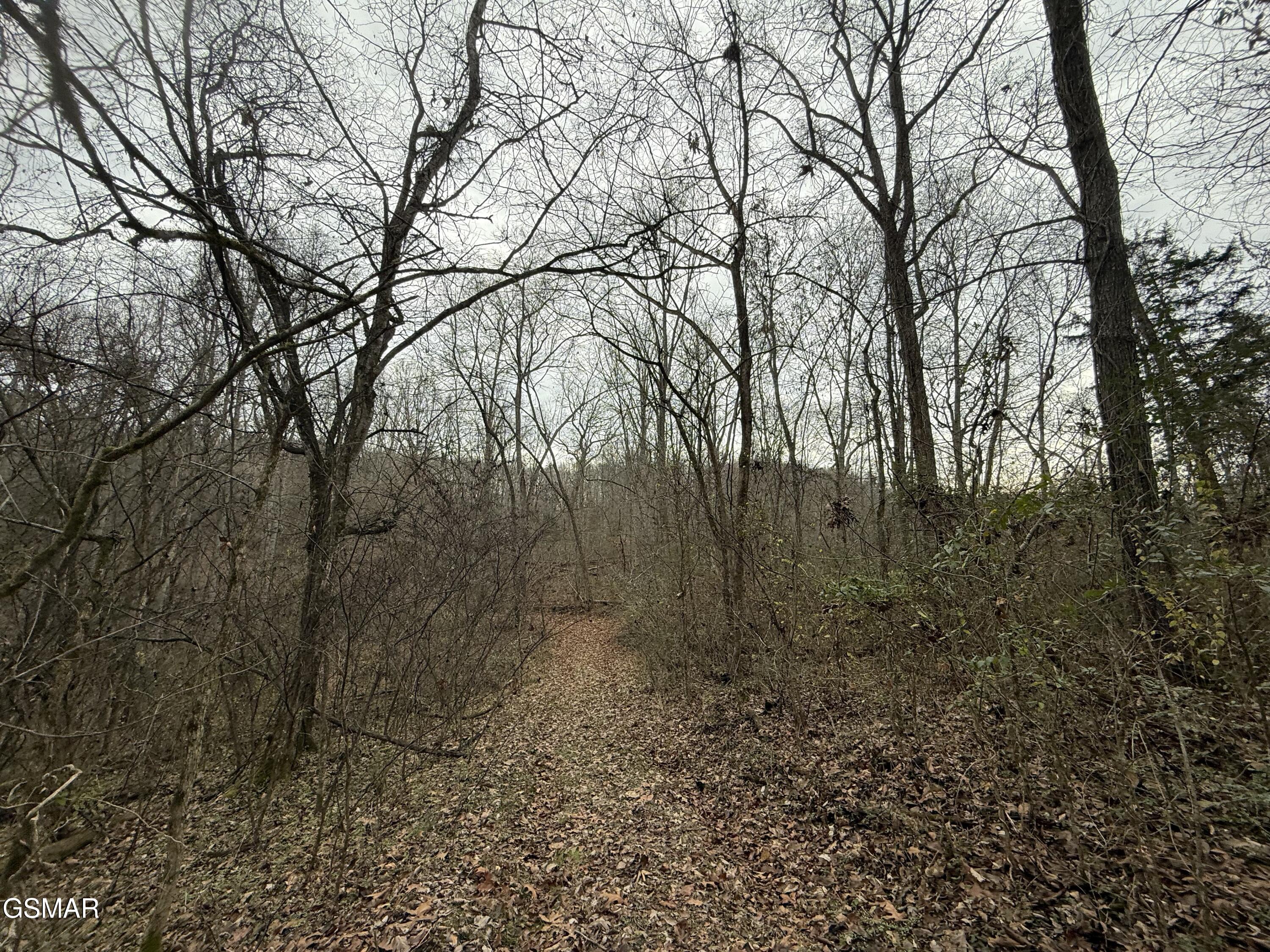 0 Off Allen Chapel Road Parrottsville TN 37843