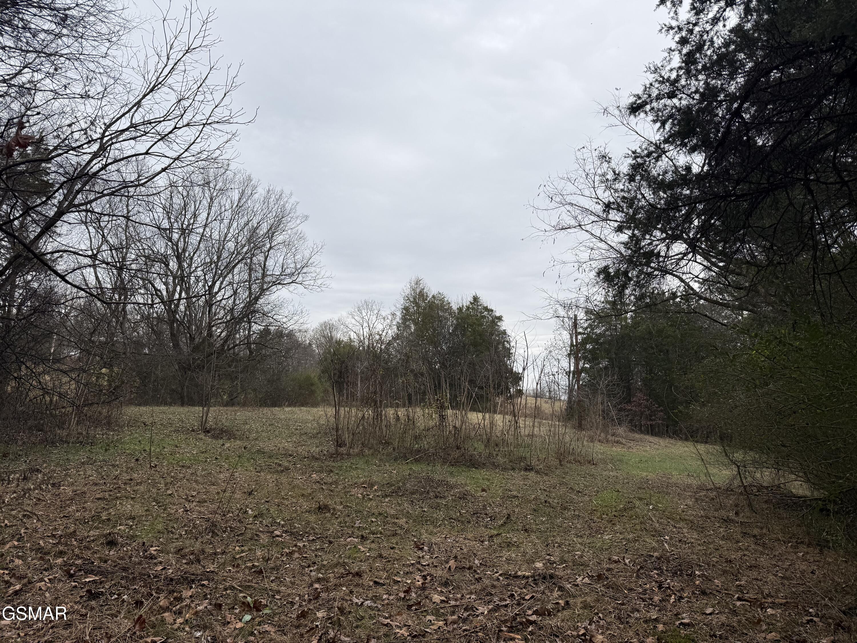 0 Off Allen Chapel Road Parrottsville TN 37843