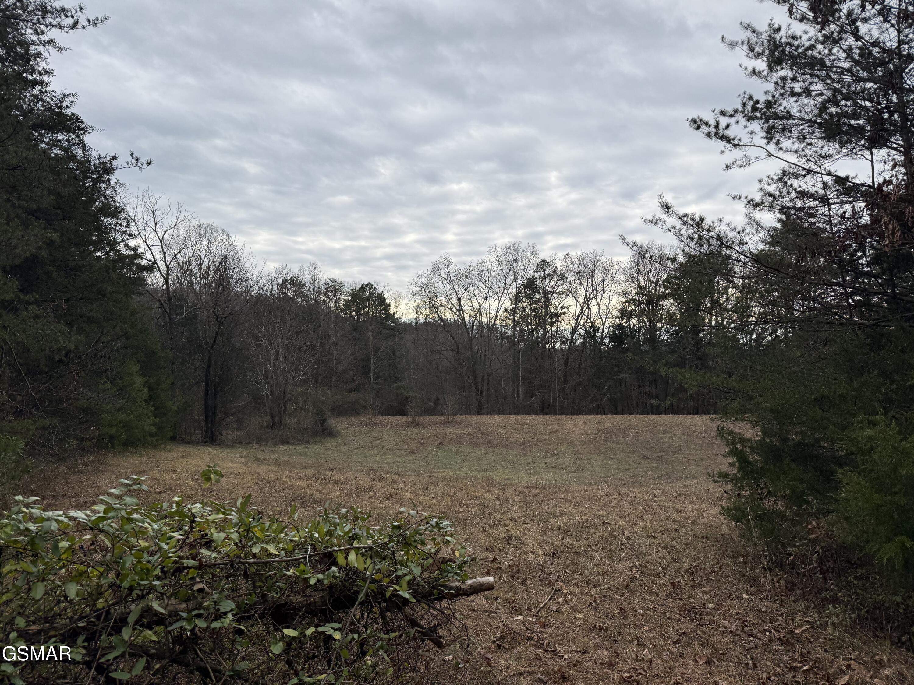 0 Off Allen Chapel Road Parrottsville TN 37843
