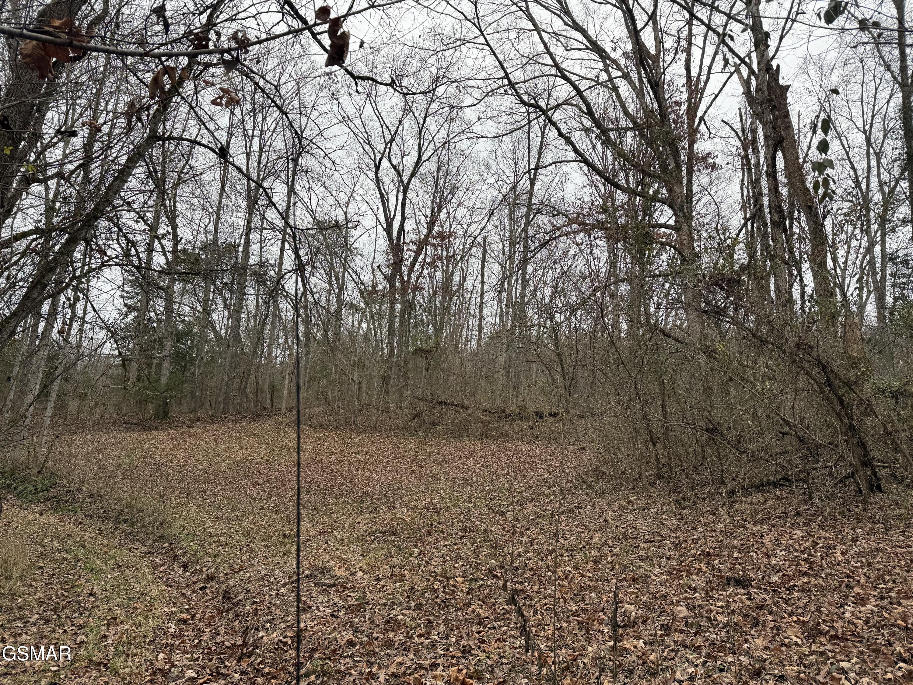 0 Off Allen Chapel Road Parrottsville TN 37843