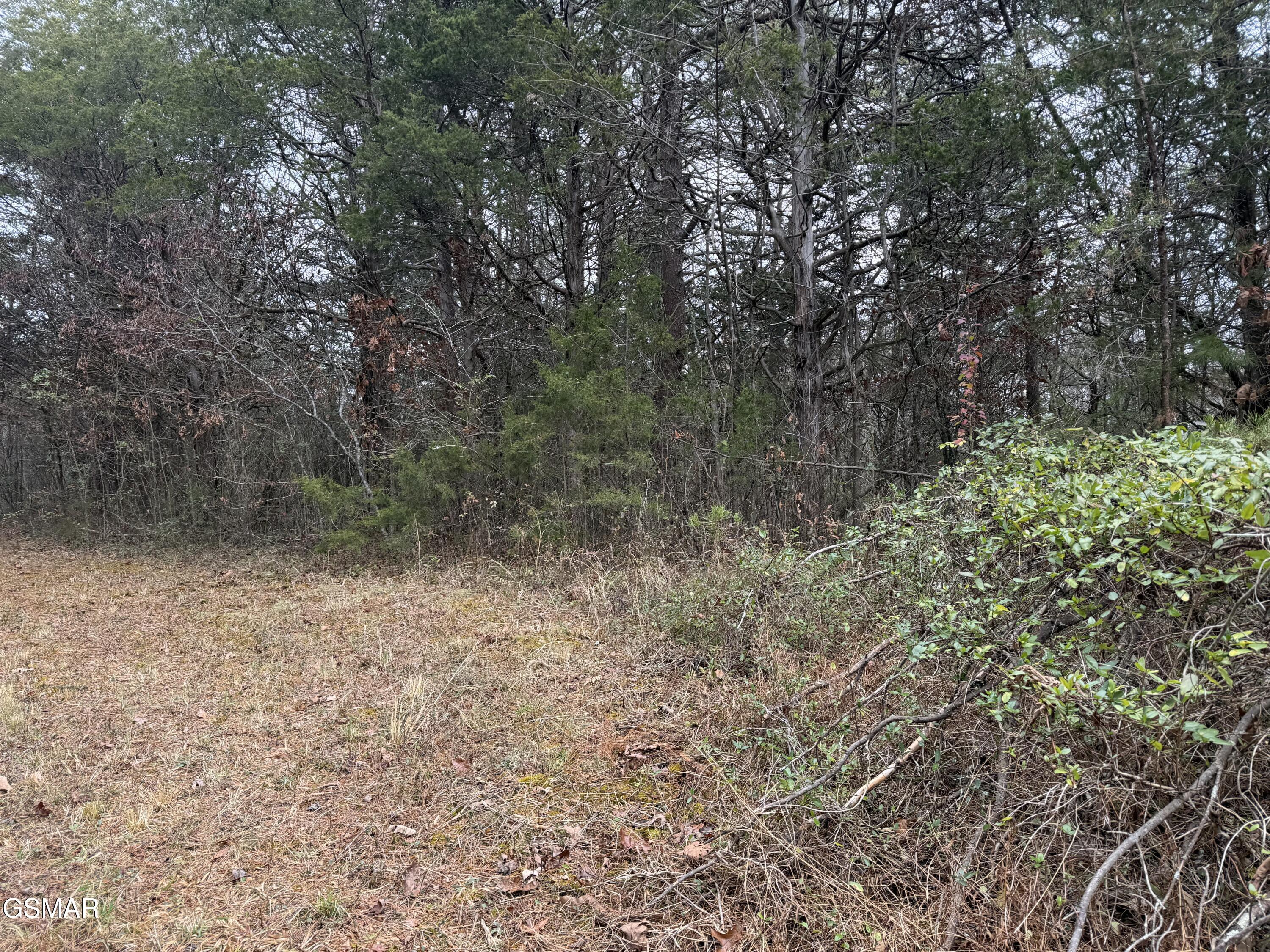 0 Off Allen Chapel Road Parrottsville TN 37843