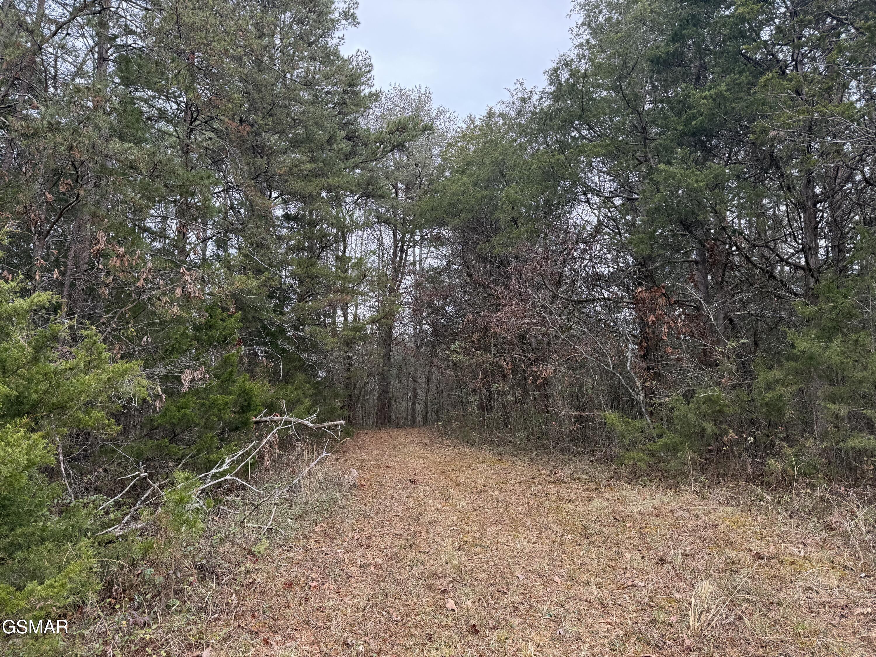 0 Off Allen Chapel Road Parrottsville TN 37843