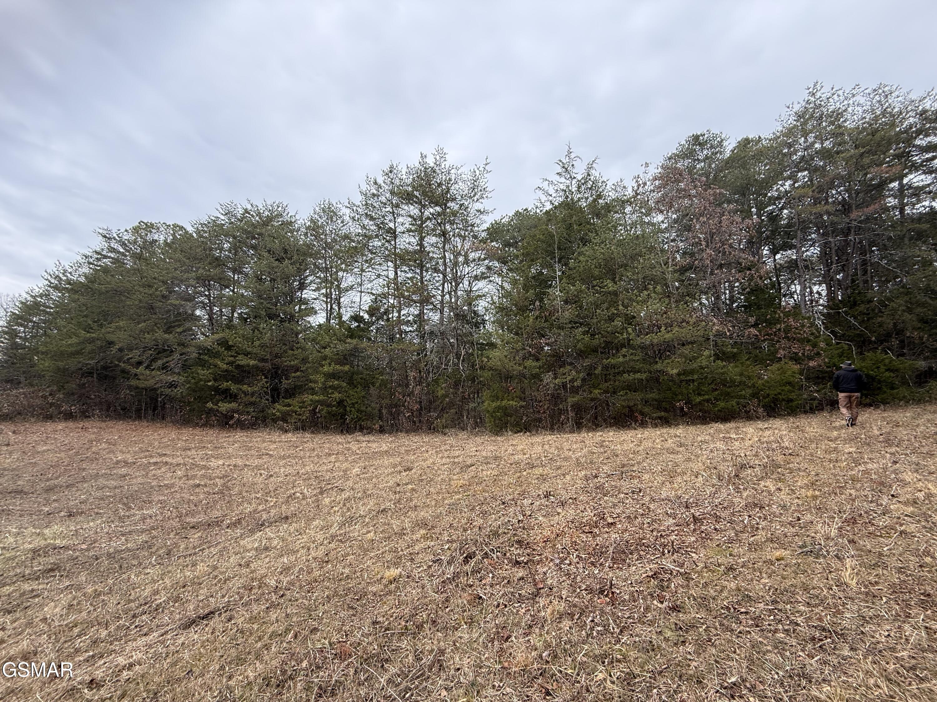 0 Off Allen Chapel Road Parrottsville TN 37843