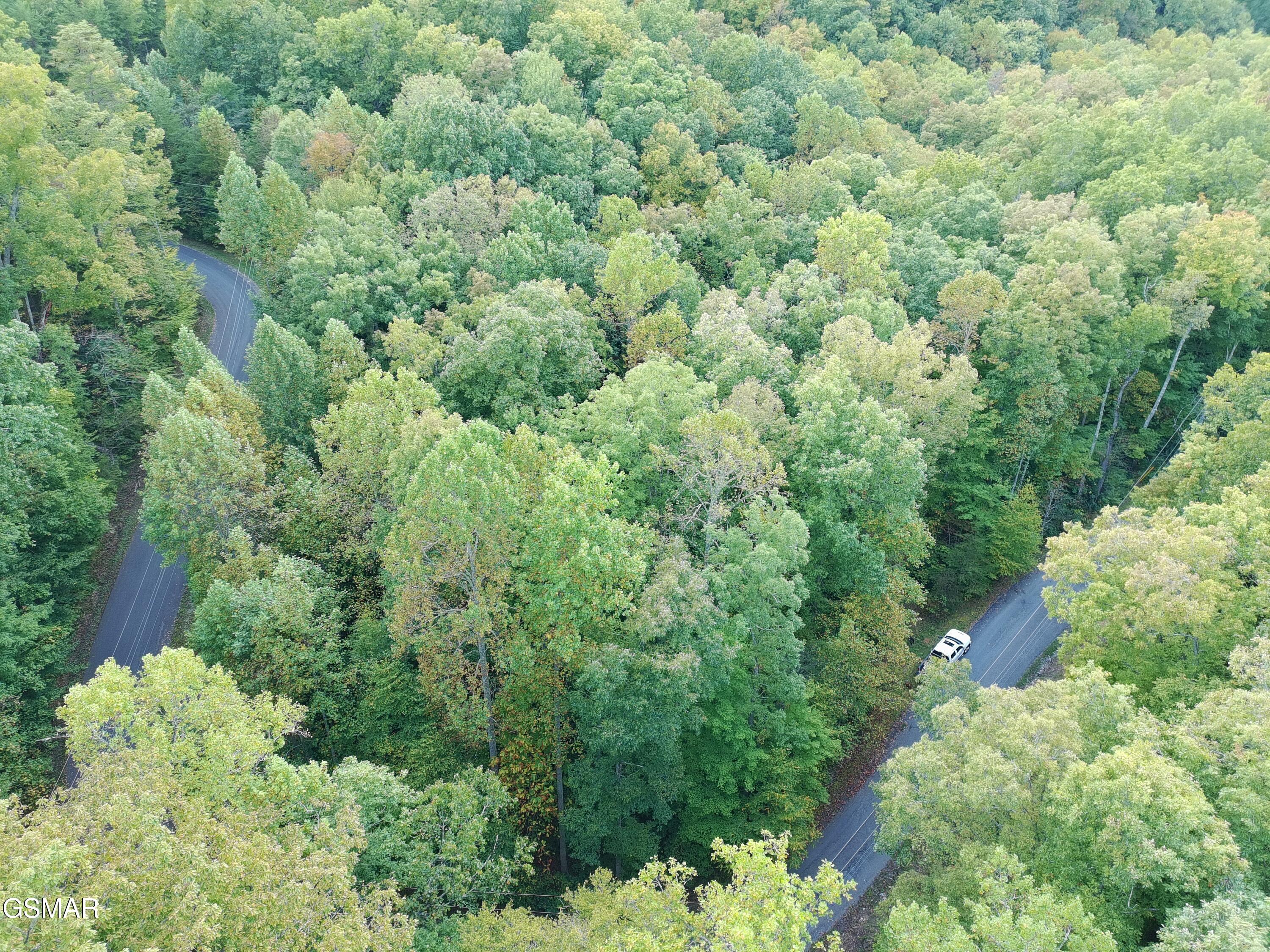 714 Pinnacle Vista Road Gatlinburg TN 37738