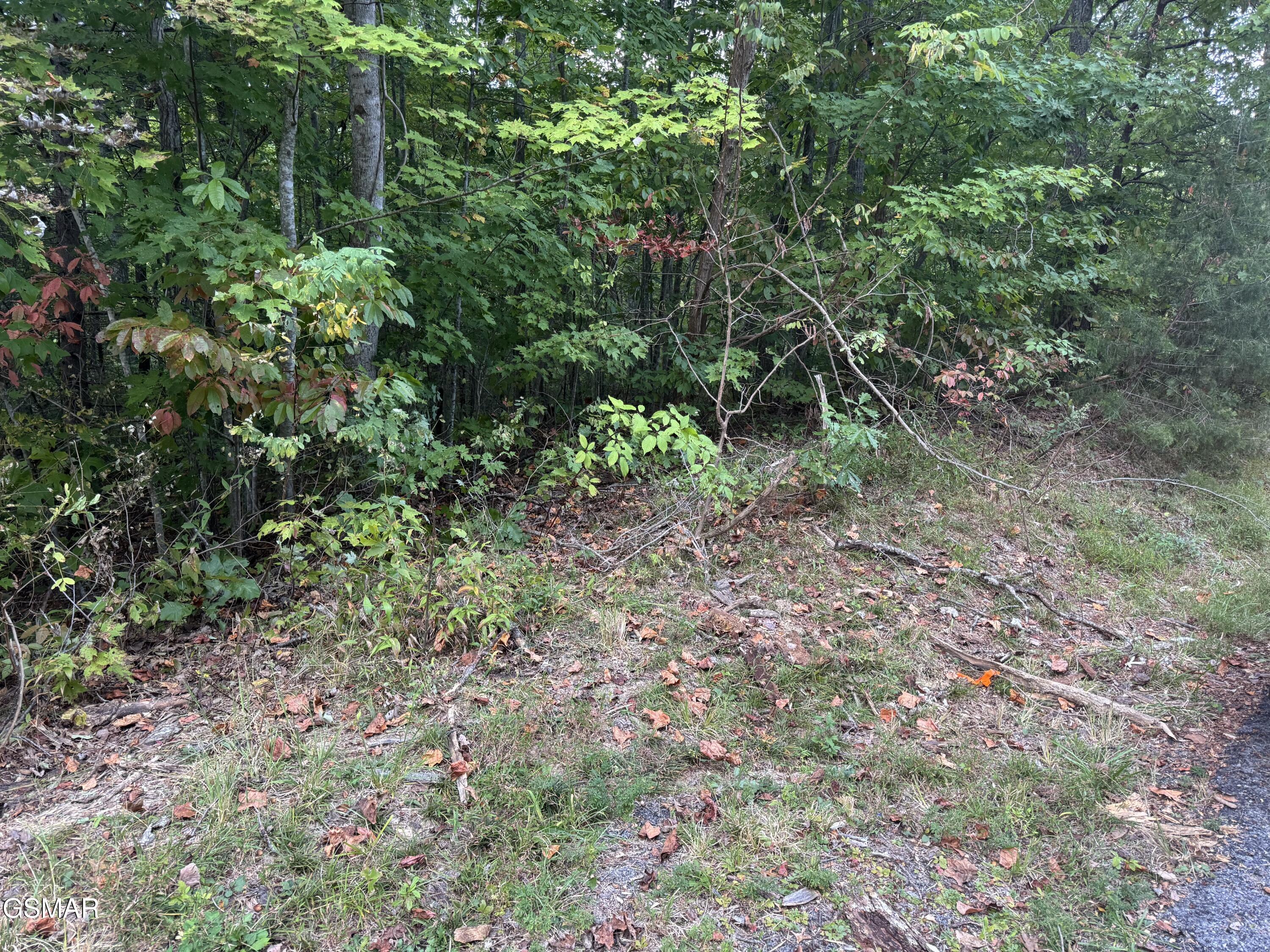 714 Pinnacle Vista Road Gatlinburg TN 37738