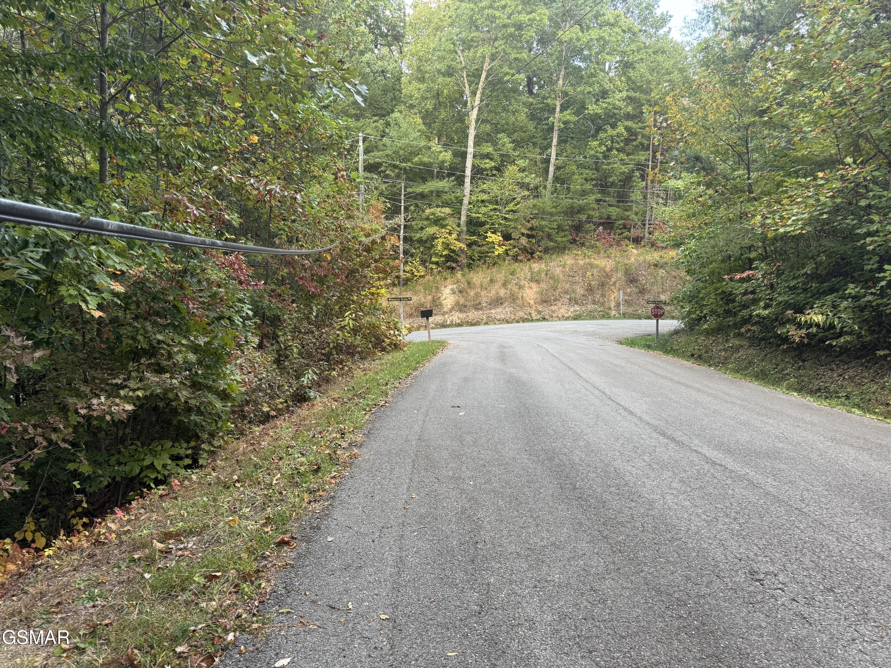 714 Pinnacle Vista Road Gatlinburg TN 37738