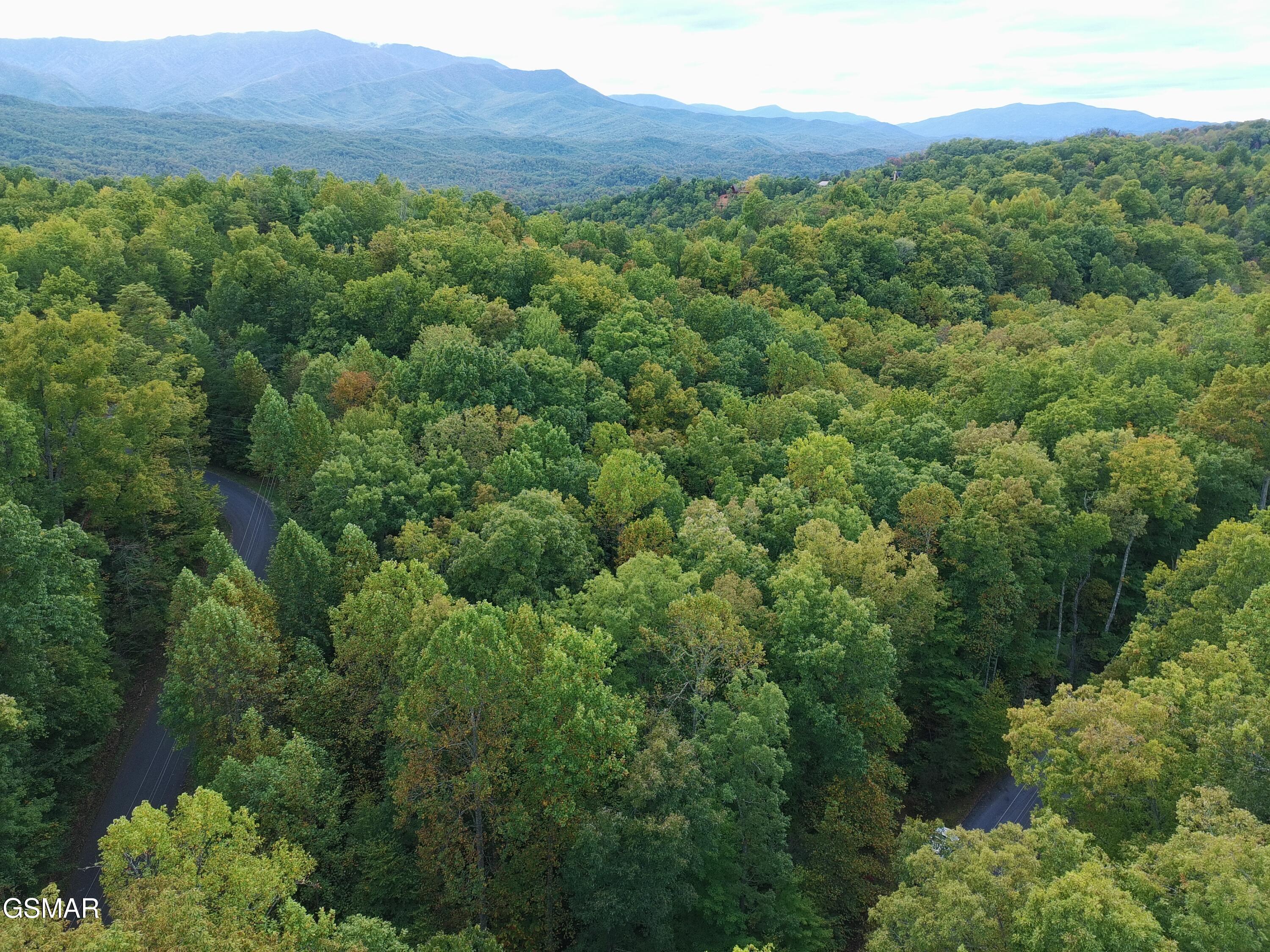 714 Pinnacle Vista Road Gatlinburg TN 37738
