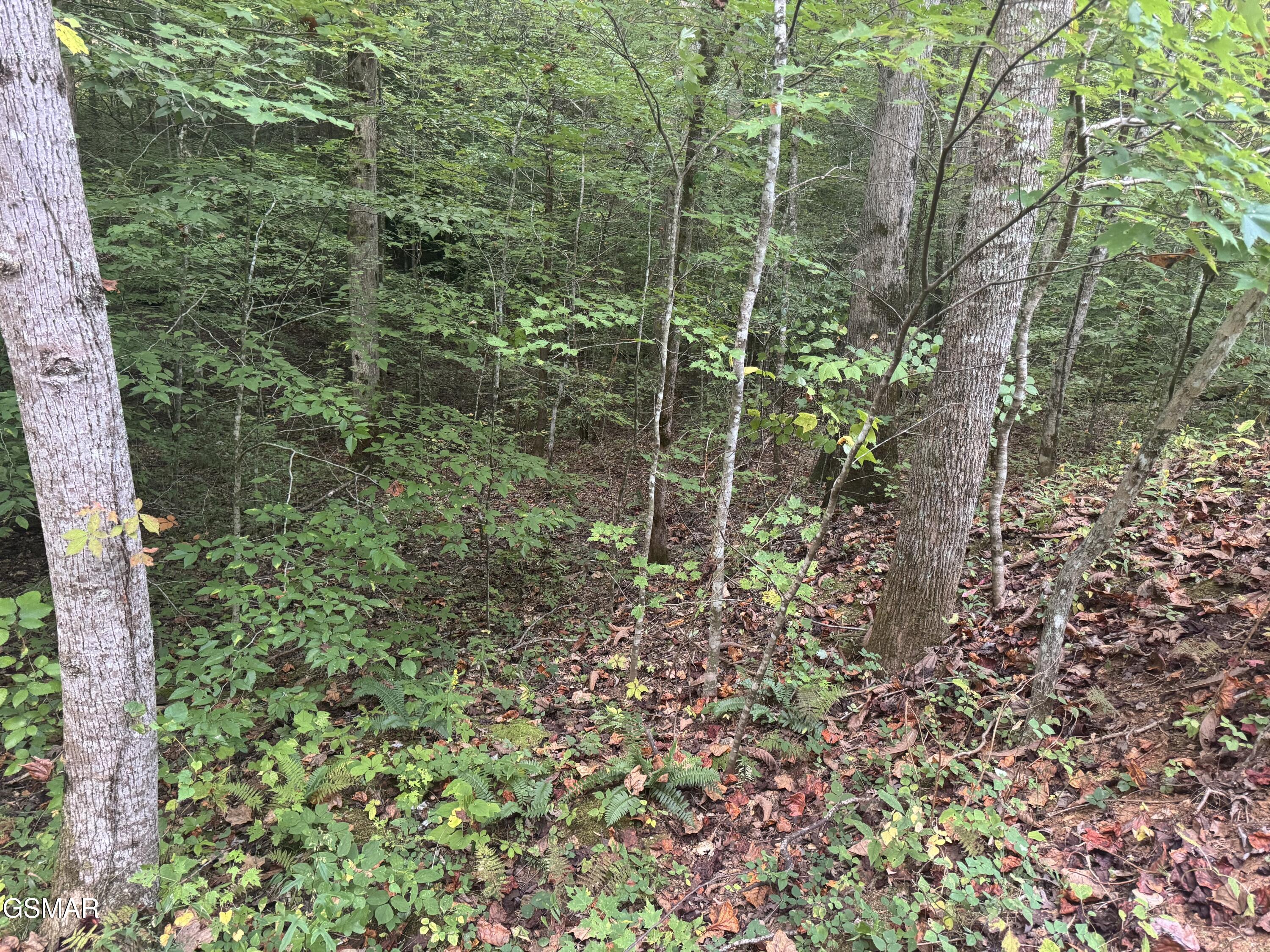714 Pinnacle Vista Road Gatlinburg TN 37738