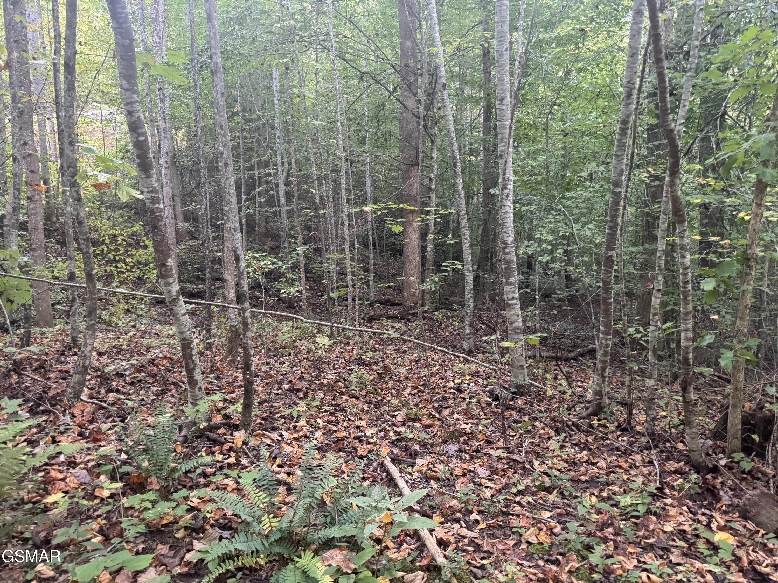 714 Pinnacle Vista Road Gatlinburg TN 37738