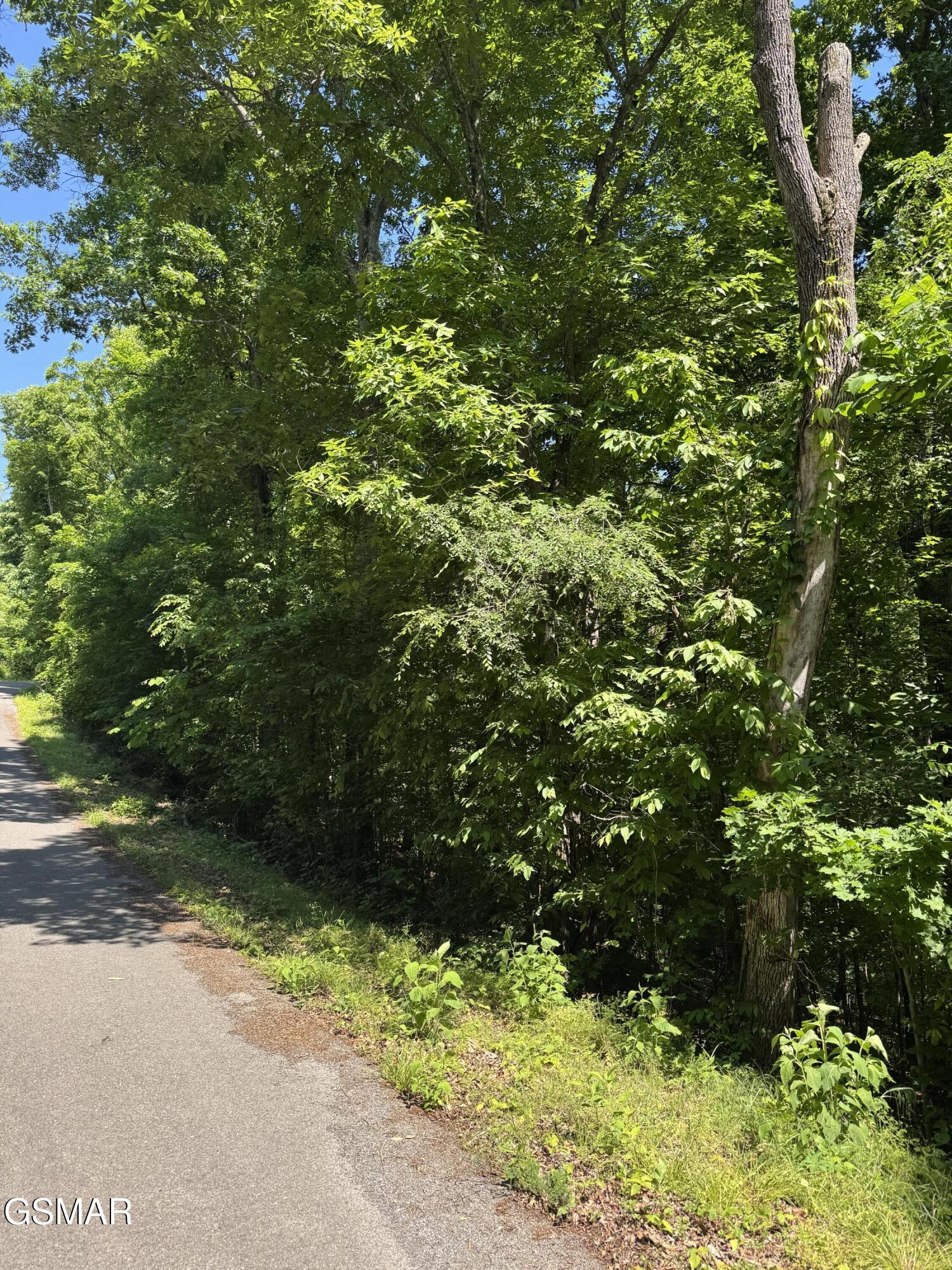 0 Muddy Creek Road Dandridge TN 37725