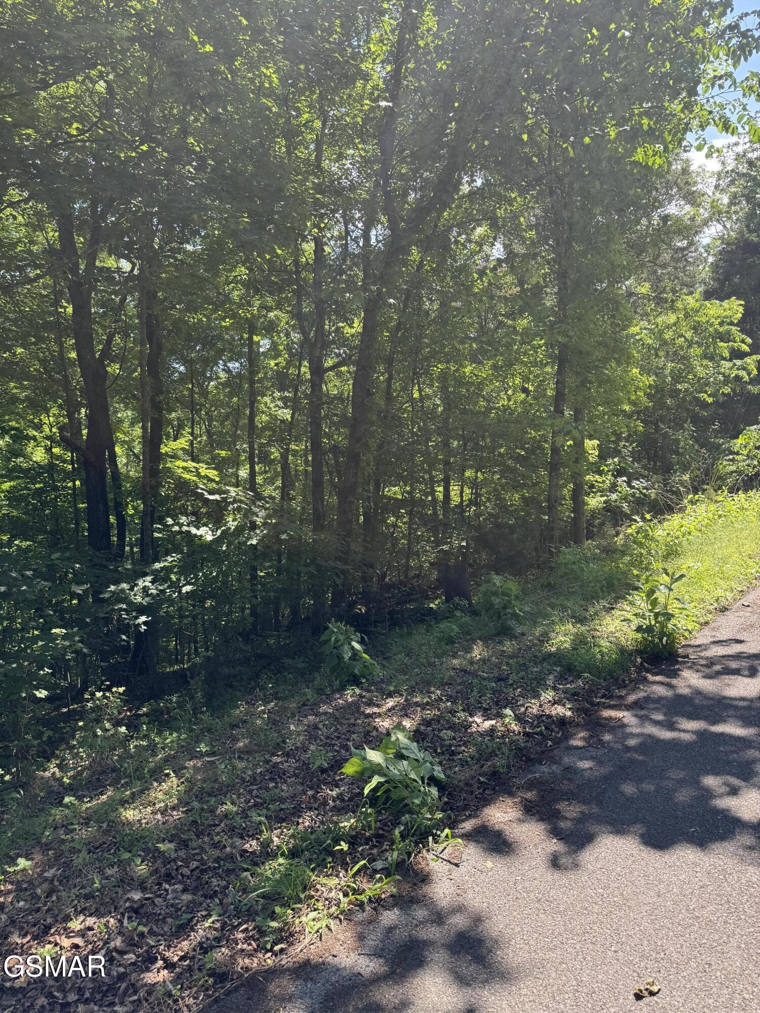 0 Muddy Creek Road Dandridge TN 37725