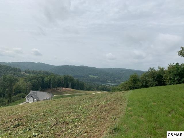 Lot A-b 11 Mountain Way Sharps Chapel TN 37866