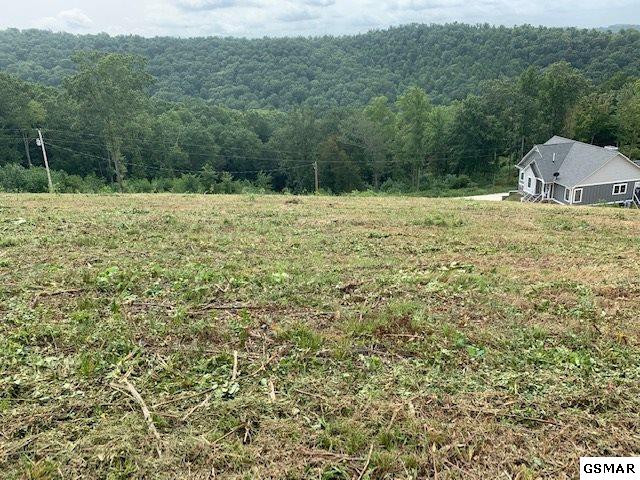 Lot A-b 11 Mountain Way Sharps Chapel TN 37866