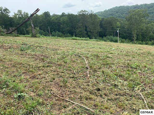 Lot A-b 11 Mountain Way Sharps Chapel TN 37866