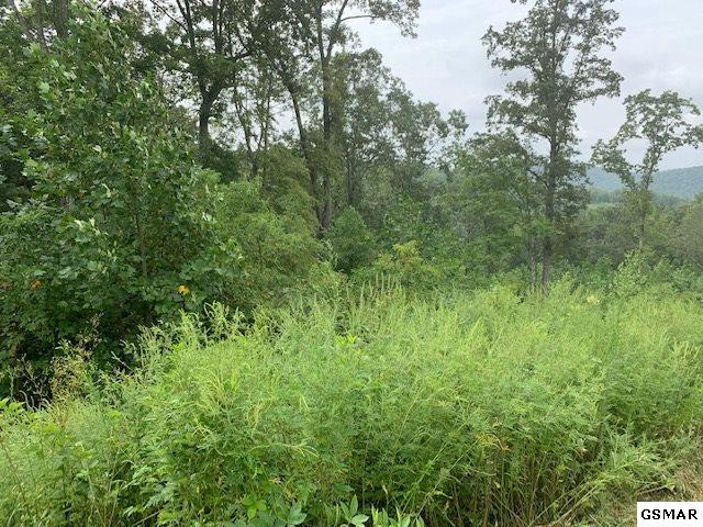 Lot A-b 11 Mountain Way Sharps Chapel TN 37866