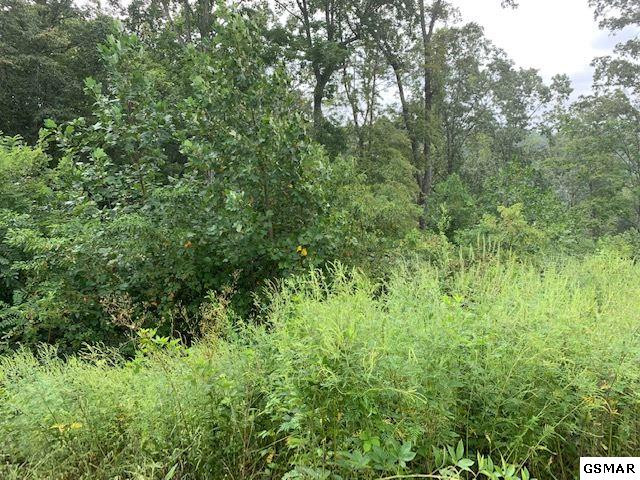 Lot A-b 11 Mountain Way Sharps Chapel TN 37866