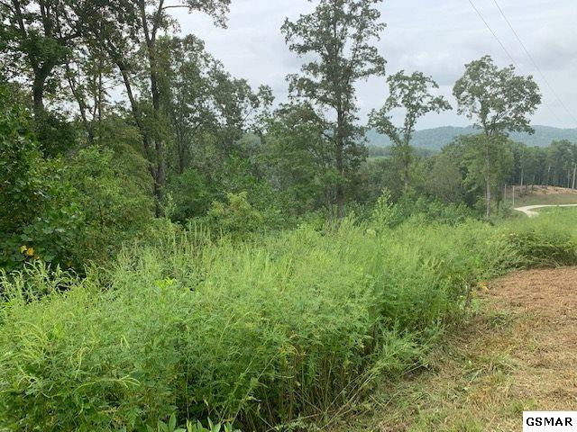 Lot A-b 11 Mountain Way Sharps Chapel TN 37866