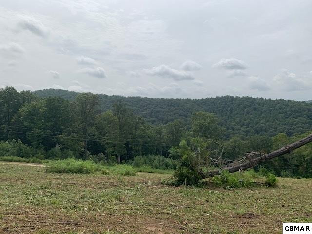 Lot A-b 11 Mountain Way Sharps Chapel TN 37866