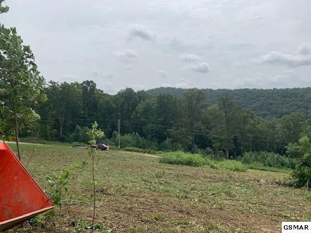 Lot A-b 11 Mountain Way Sharps Chapel TN 37866