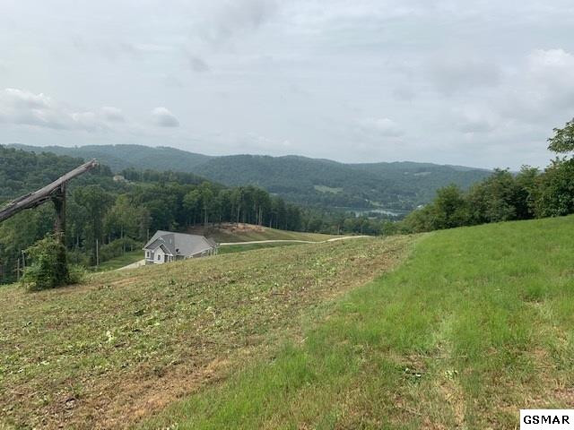 Lot A-b 11 Mountain Way Sharps Chapel TN 37866